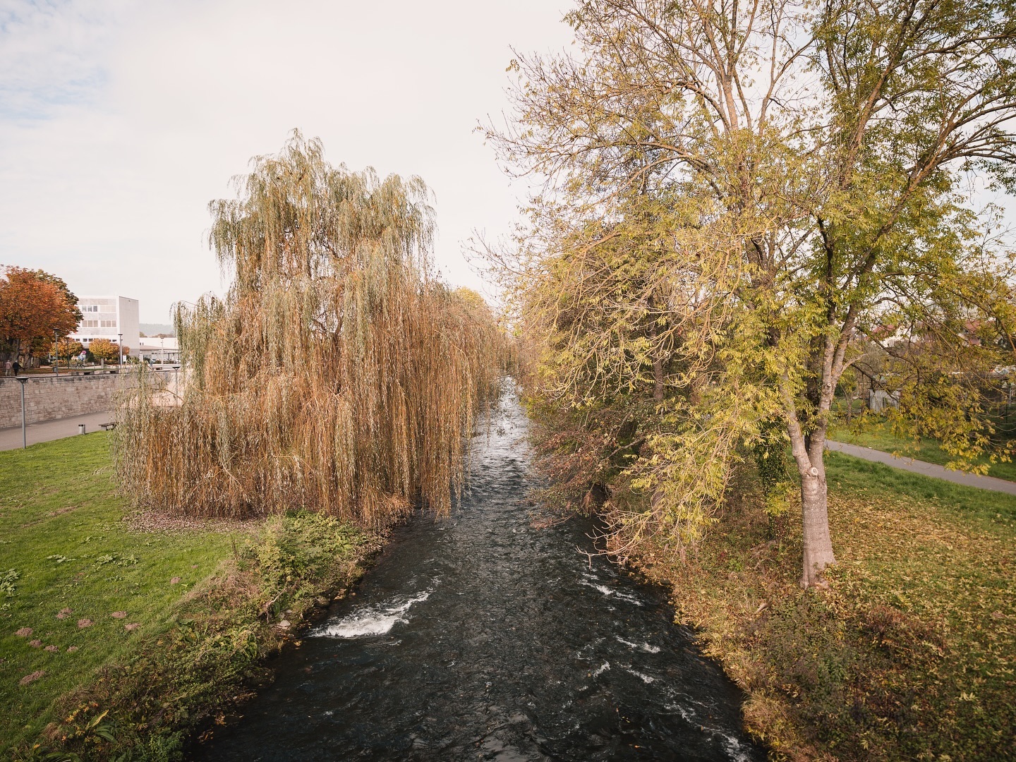 Ein Fluss fließt durch eine Parklandschaft mit Bäumen in Herbstfarben. An den Ufern befinden sich grüne Wiesen.