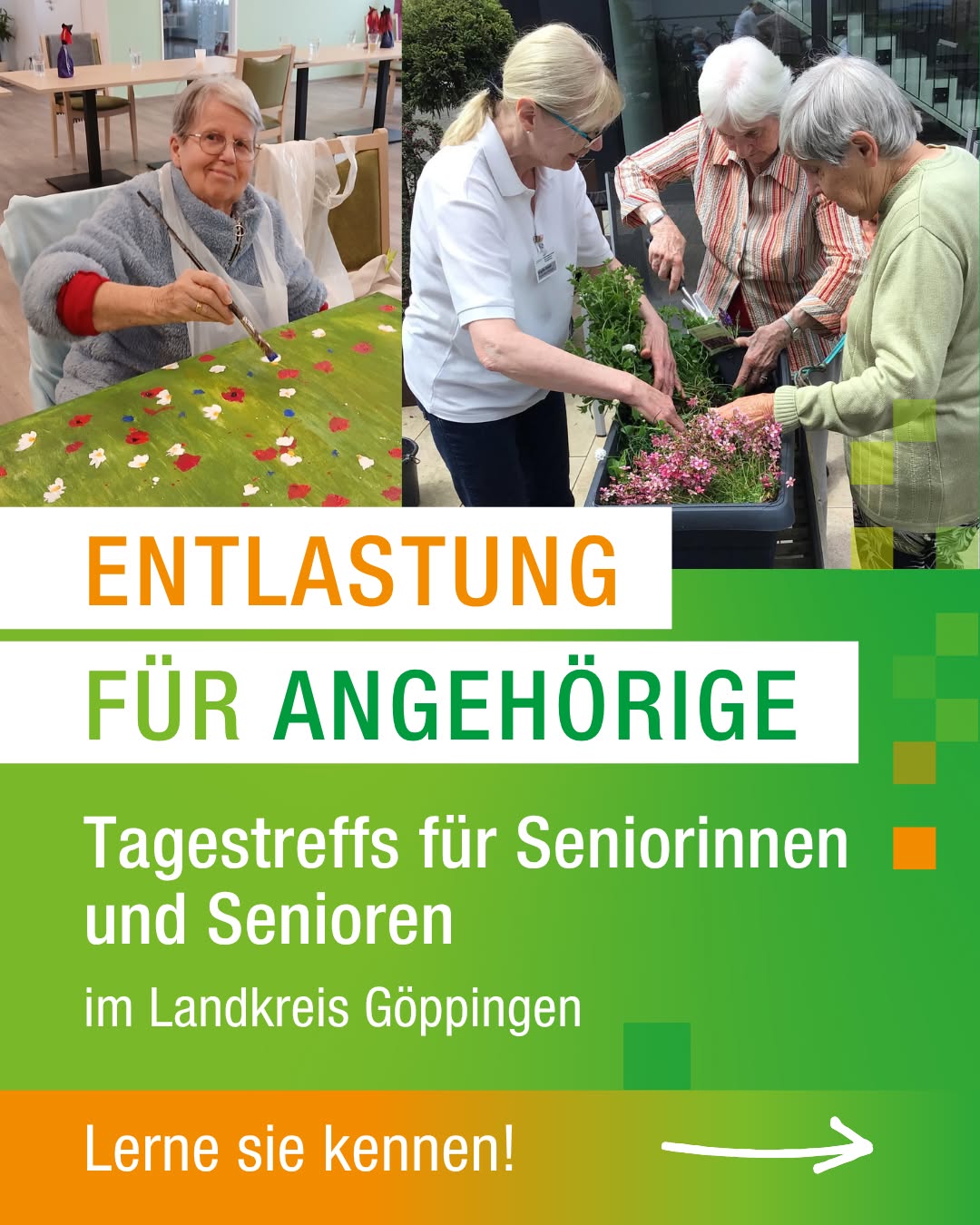 Zwei Fotos zeigen Personen bei kreativen Aktivitäten: links eine Person beim Malen von Blumen auf einer grünen Leinwand, rechts drei Personen beim Bepflanzen eines Blumenkastens. Der Text lautet: „ENTLASTUNG FÜR ANGEHÖRIGE. Tagestreffs für Seniorinnen und Senioren im Landkreis Göppingen“. Am unteren Rand steht auf orangem Hintergrund „Lerne sie kennen!“ mit einem Pfeil nach rechts. (KI-Alternativtext)