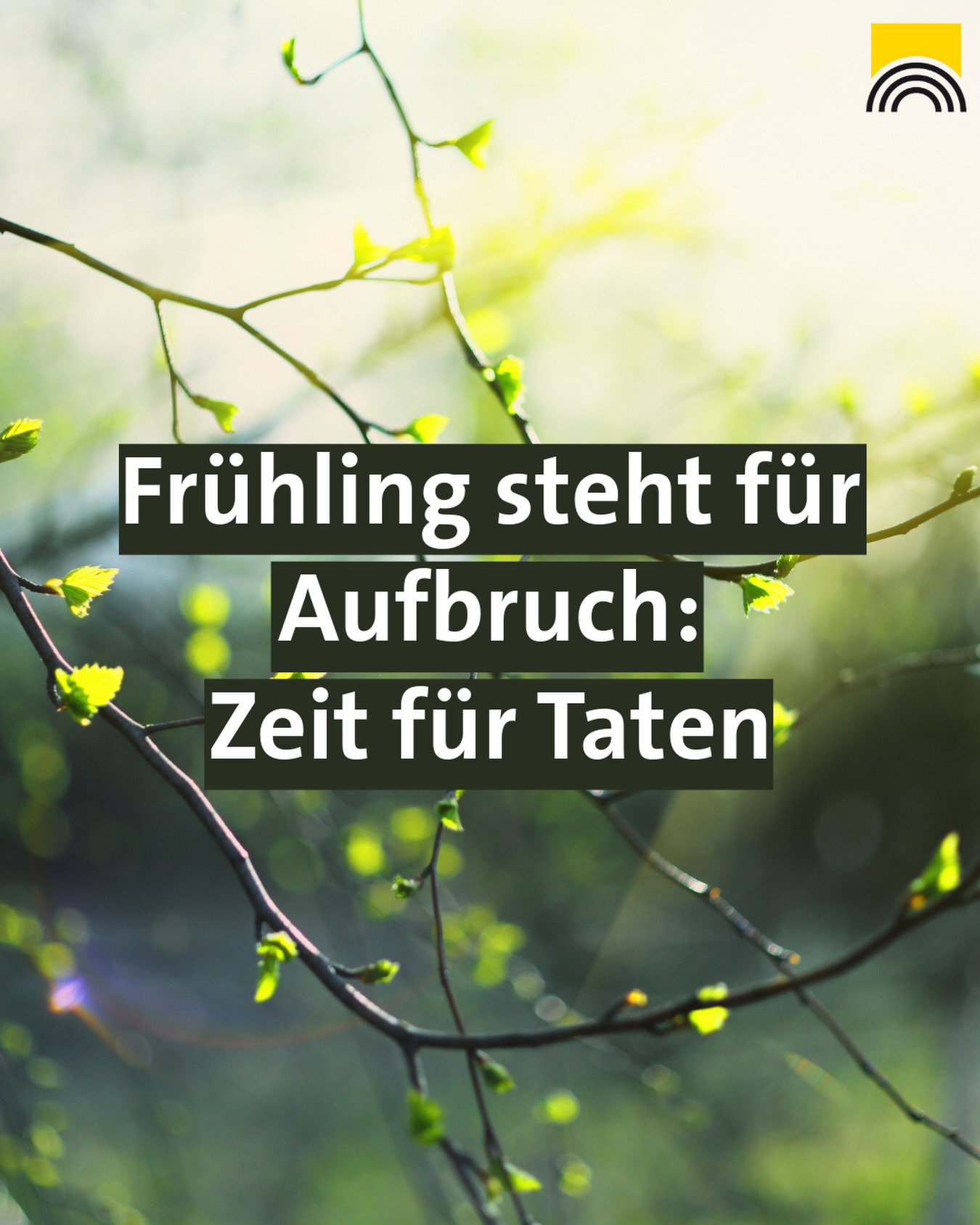 Dieser Alternativtext wurde KI-generiert: Ein verschwommener Hintergrund zeigt Äste mit jungen, grünen Blättern im hellen Sonnenlicht. Text auf dem Bild lautet: "Frühling steht für Aufbruch: Zeit für Taten."