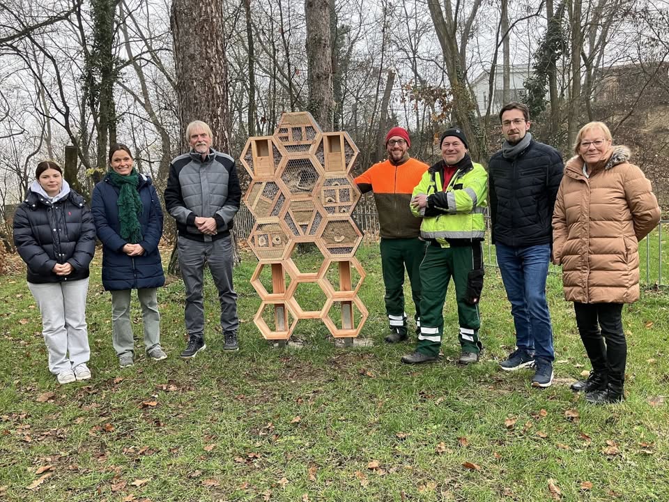 Dieser Alternativtext wurde KI-generiert: Eine Gruppe von Menschen steht vor einem grasbewachsenen Feld und einem sechseckigen Holzobjekt. Im Hintergrund sind Bäume und Büsche zu sehen.