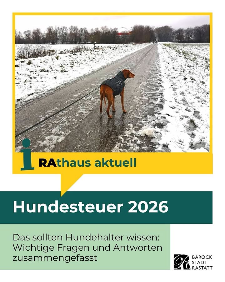 Dieser Alternativtext wurde KI-generiert: Schwarz-weißes Foto einer Person und eines Hundes auf einer verschneiten Straße. Im unteren Bereich des Bildes befindet sich ein Werbebanner mit Informationen zur Hundesteuer.