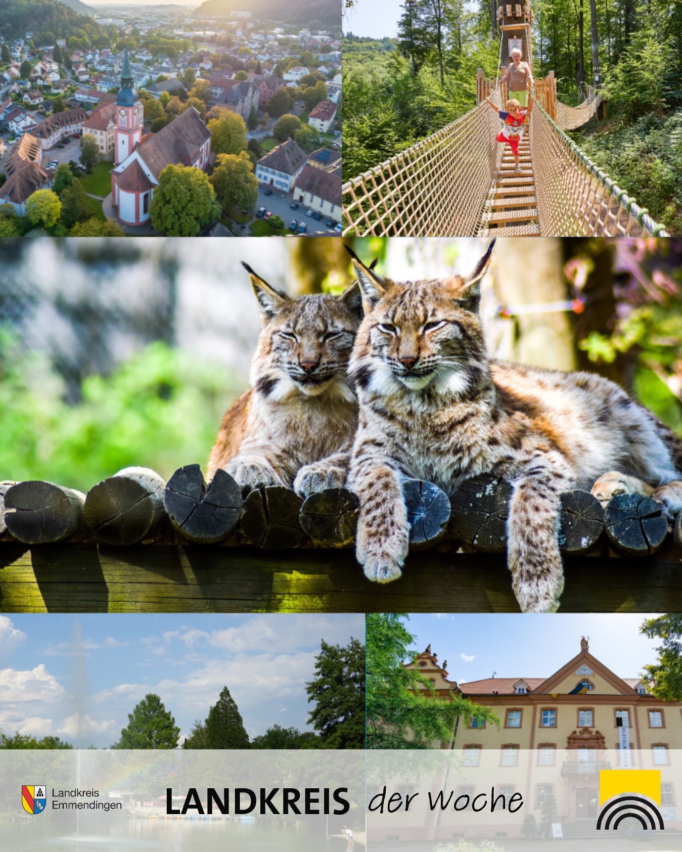 Dieser Alternativtext wurde KI-generiert: Eine Collage zeigt verschiedene Landschafts- und Tieransichten. Dazu gehören Gebäude, eine Hängebrücke, ein Wald und ein Tier mit geflecktem Fell.