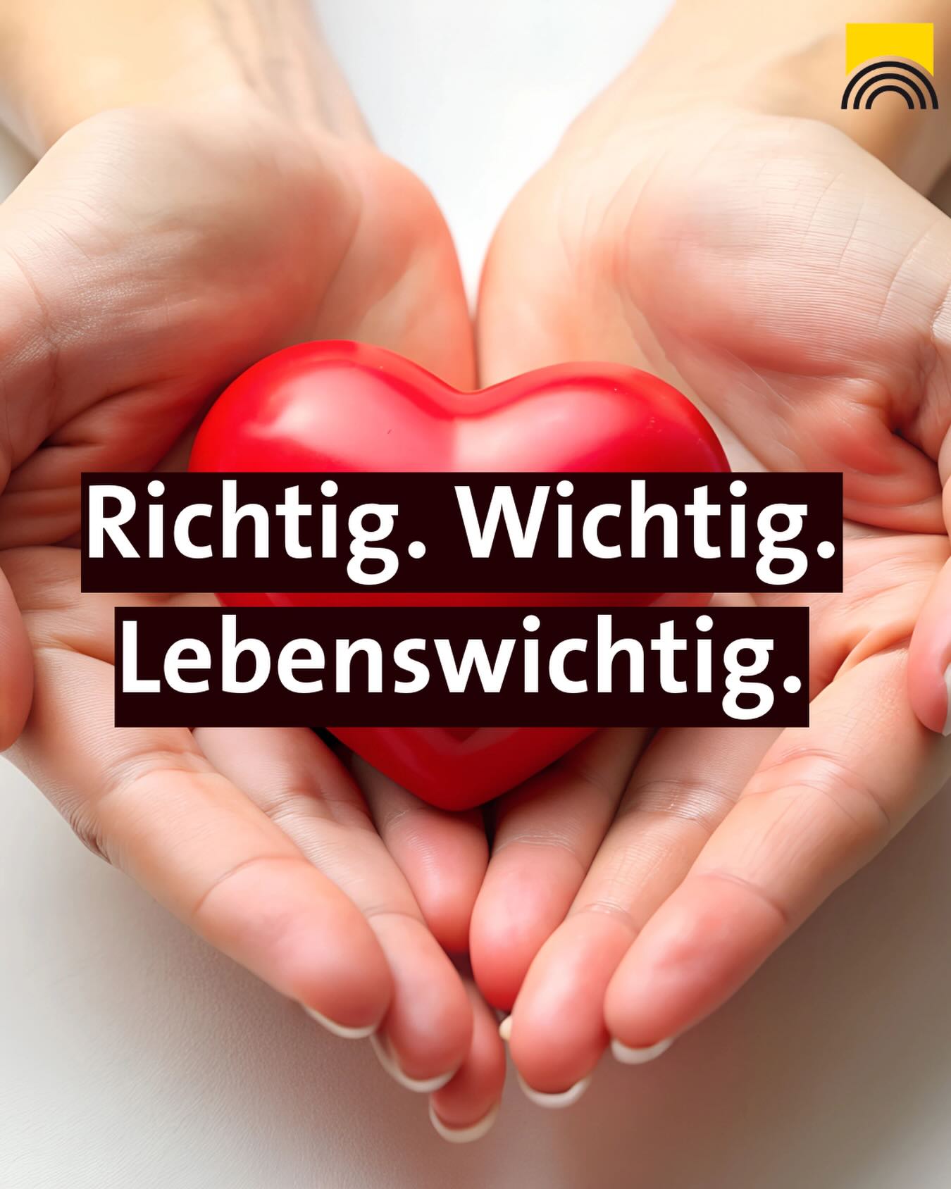 Zwei Hände halten ein rotes Herz, darüber der Text „Richtig. Wichtig. Lebenswichtig.“. Oben rechts ist ein gelbes Logo mit einem Regenbogenbogen. (KI-Alternativtext)