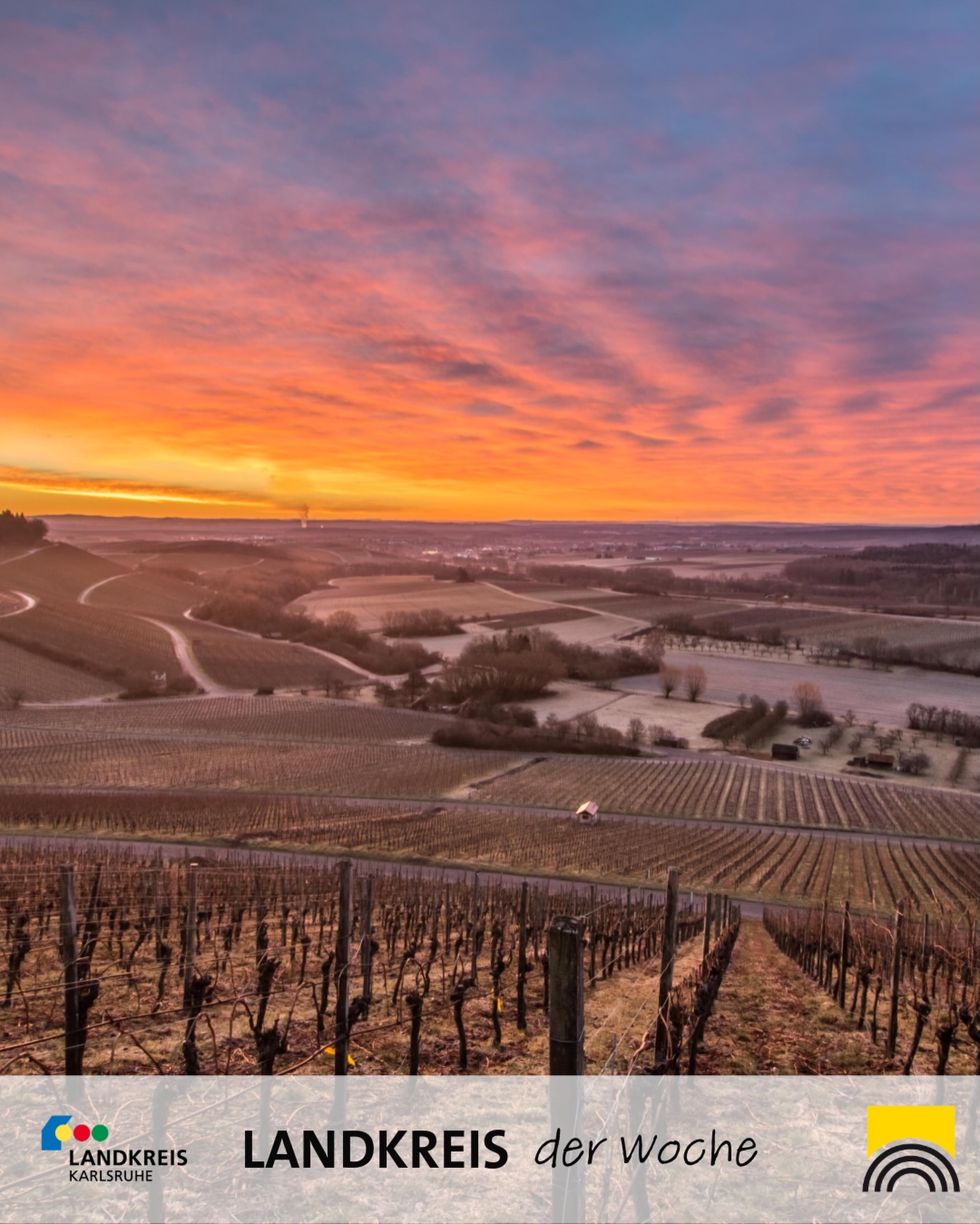 Dieser Alternativtext wurde KI-generiert: Ein weiter Blick über eine Landschaft mit Feldern und Weinbergen im Abendlicht. Der Himmel ist in warmen Farben gehalten.