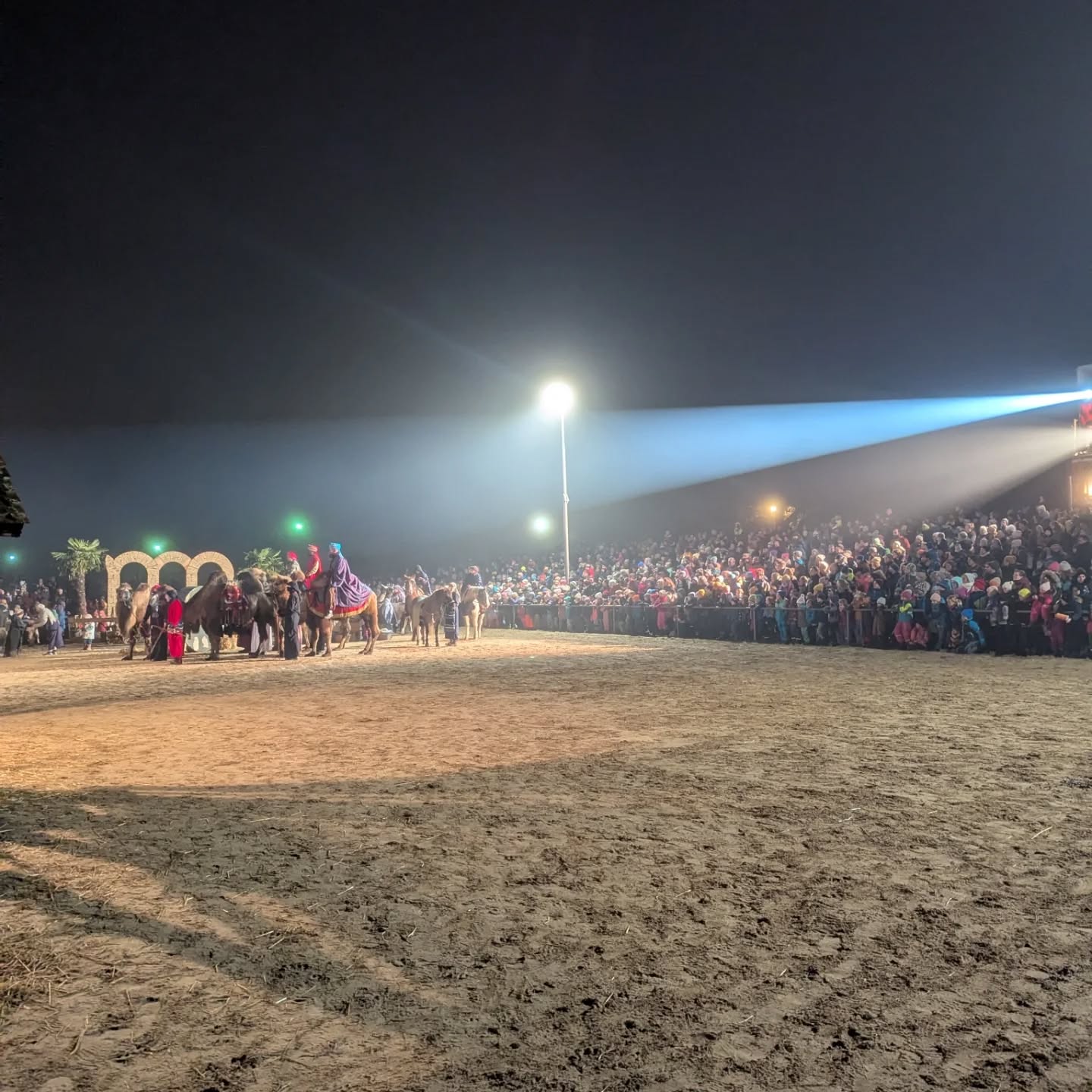 Dieser Alternativtext wurde KI-generiert: Eine nächtliche Szene zeigt mehrere Tiere und schemenhafte Gestalten in einem abgegrenzten Bereich. Im Hintergrund eine große Menschenmenge und ein heller Lichtschein.