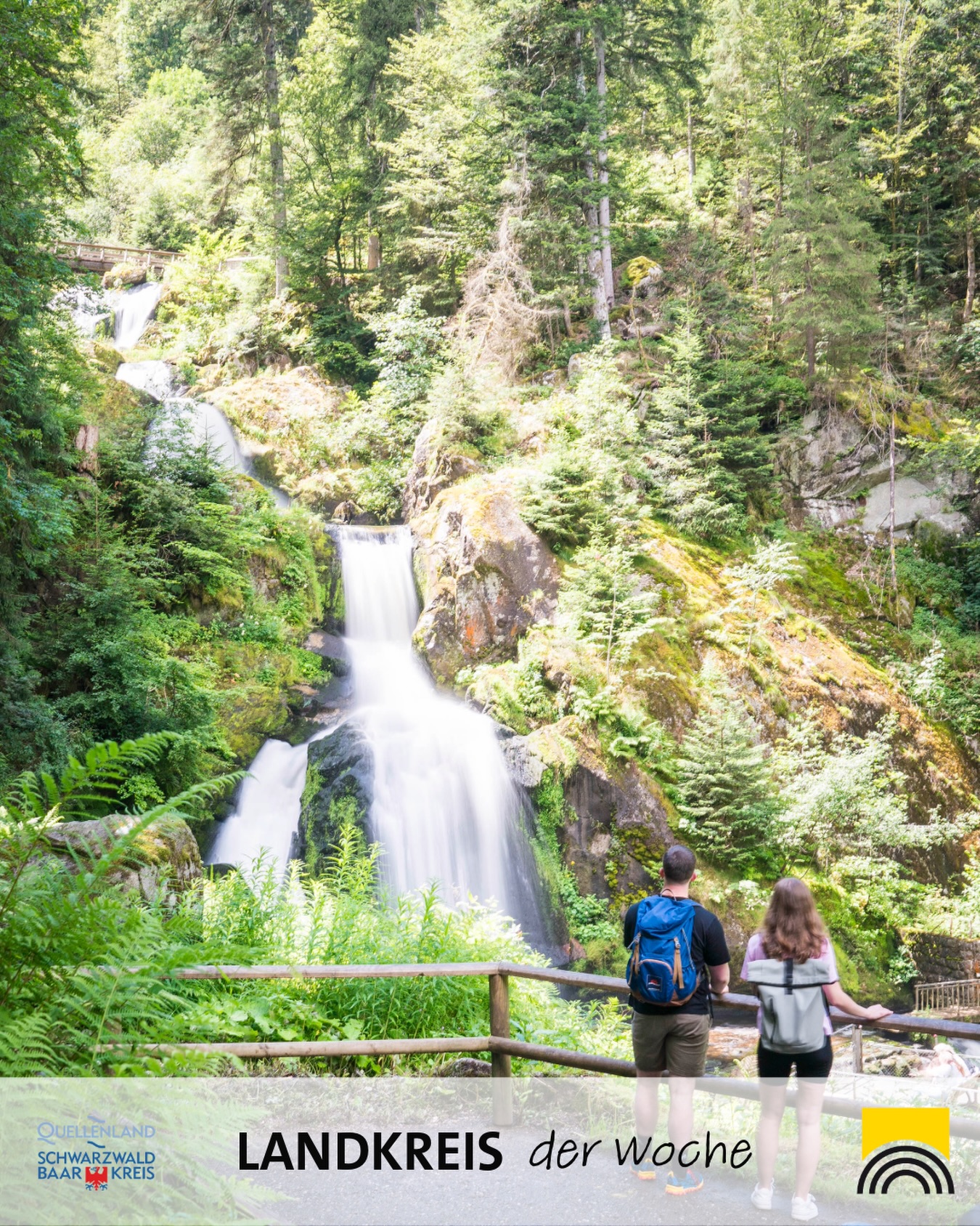 Dieser Alternativtext wurde KI-generiert: Eine farbenfrohe Landschaft zeigt einen Wasserfall inmitten dichter Vegetation. Zwei Personen betrachten die Szene von einem Aussichtspunkt aus.