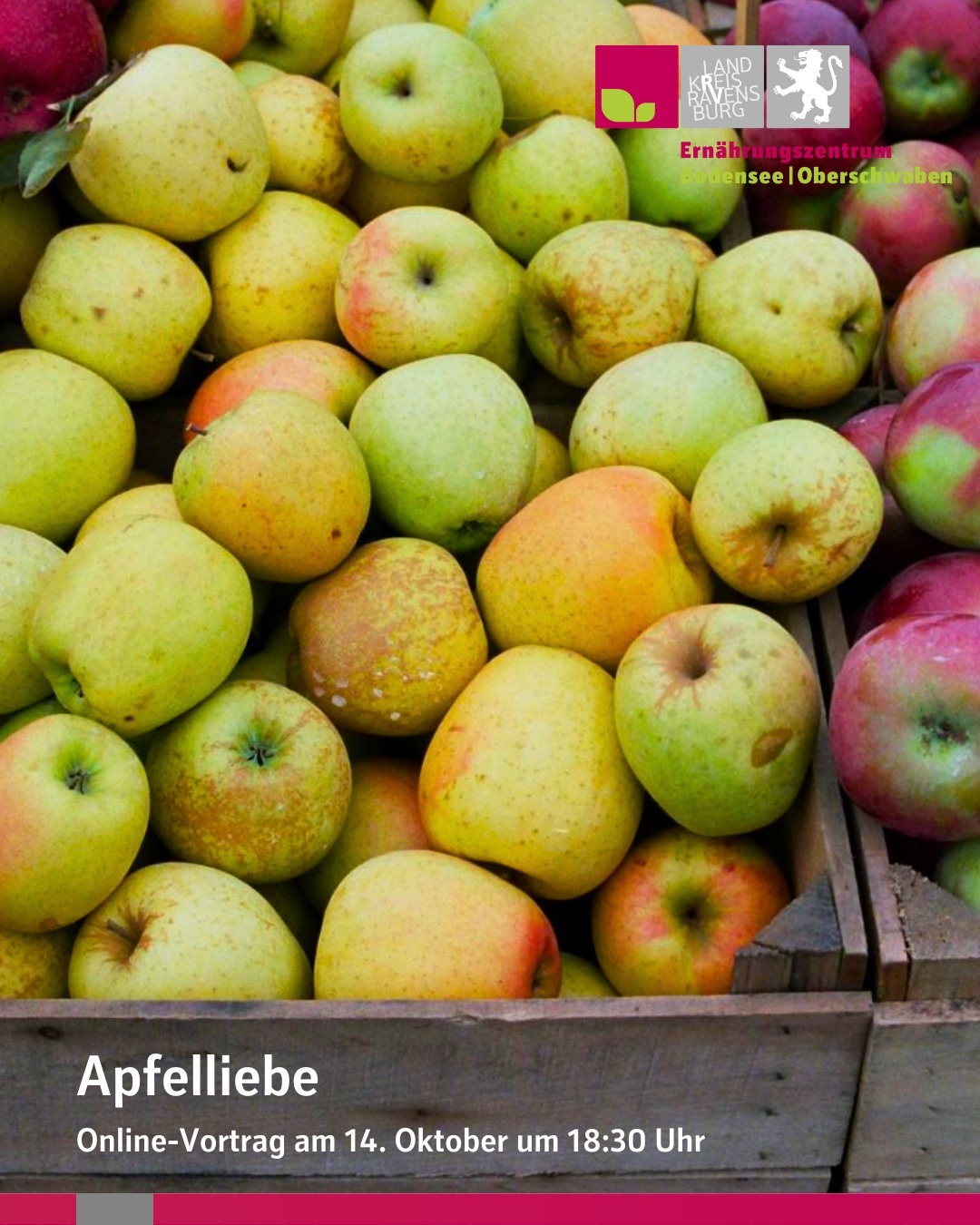 Apfelliebe. Online-Vortrag am 14. Oktober um 18:30 Uhr.