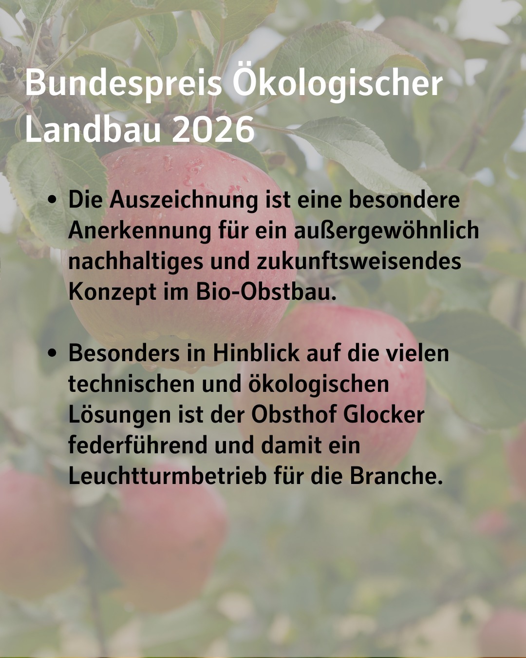 Im Hintergrund ist verschwommen eine Großaufnahmen von Äpfeln zu sehen, die reif an einem Baum hängen.
Bildtext:
Bundespreis Ökologischer Landbau 2026
Die Auszeichnung ist eine besondere Anerkennung für ein außergewöhnlich nachhaltiges und zukunftsweisendes Konzept im Bio-Obstbau.
Besonders in Hinblick auf die vielen technischen und ökologischen Lösungen ist der Obsthof Glocker federführend und damit ein Leuchtturmbetrieb für die Branche.