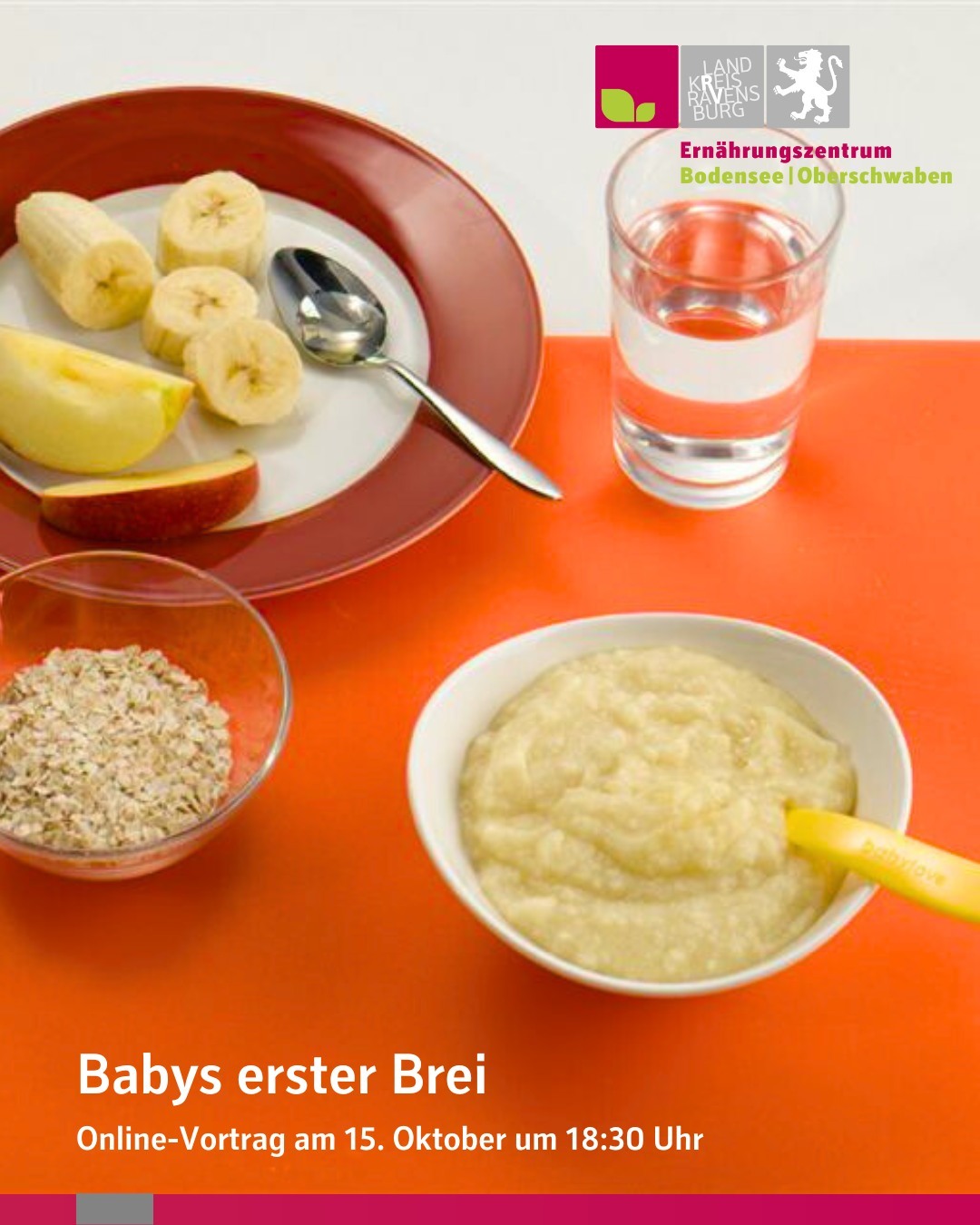 Babys erster Brei. Online-Vortrag am 15. Oktober um 18:30 Uhr