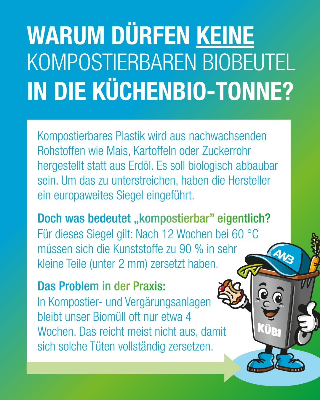 Infografik mit der Überschrift „WARUM DÜRFEN KEINE KOMPOSTIERBAREN BIOBEUTEL IN DIE KÜCHENBIO-TONNE?“. Der Text erklärt, dass kompostierbare Tüten zwar aus nachwachsenden Rohstoffen bestehen, aber für den Abbau 12 Wochen bei 60 Grad benötigen. Da Biomüll in Anlagen meist nur 4 Wochen verweilt, zersetzen sich die Tüten dort nicht vollständig. Rechts unten ist eine lächelnde Abfalltonnen-Mascotte mit dem Namen „KÜBI“ abgebildet. (KI-Alternativtext)