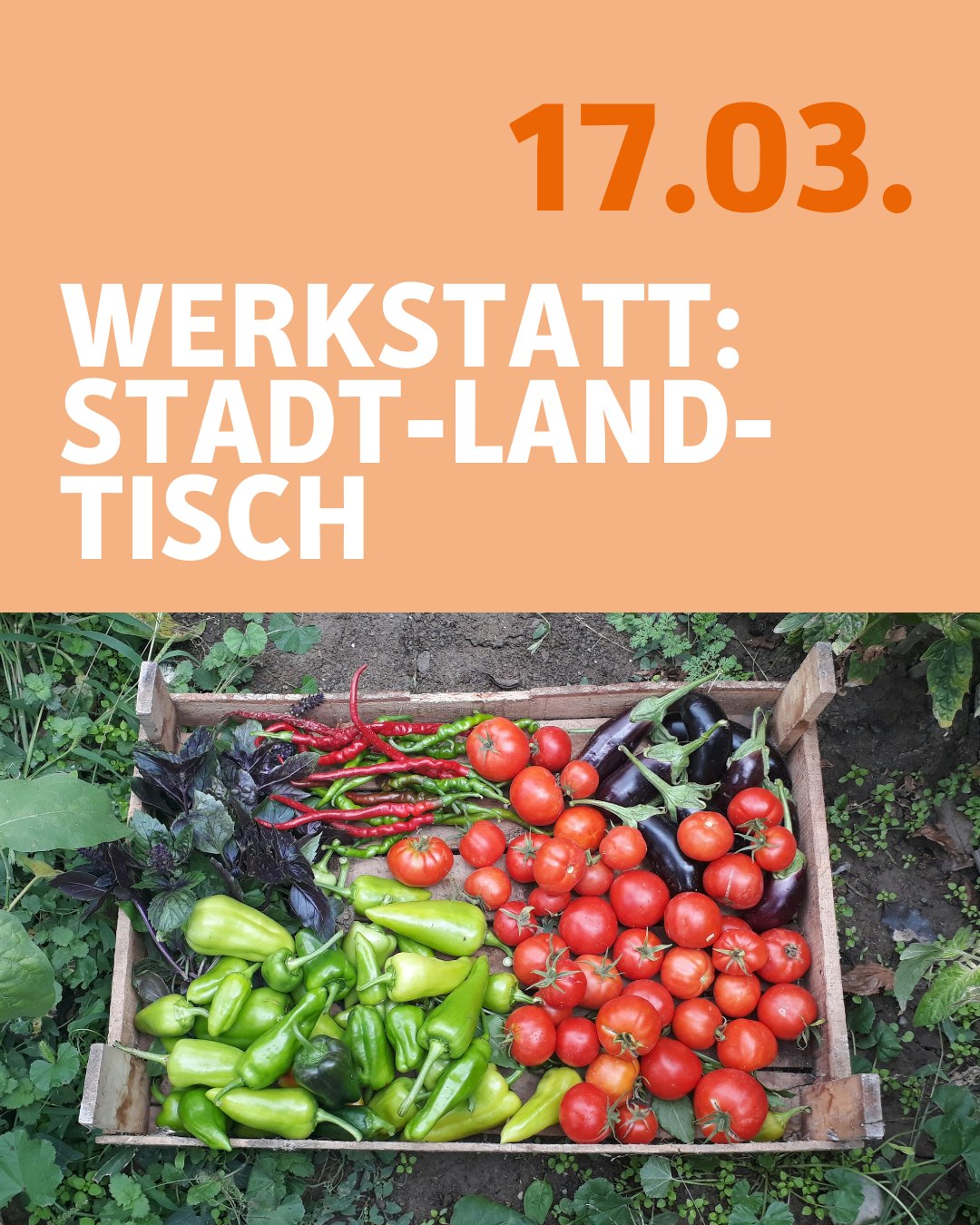 Dieser Alternativtext wurde KI-generiert: Ein orangefarbenes Bild mit weißem Text, der einen Termin und einen Titel ankündigt. Darunter ist eine Kiste mit verschiedenen Gemüsesorten zu sehen.