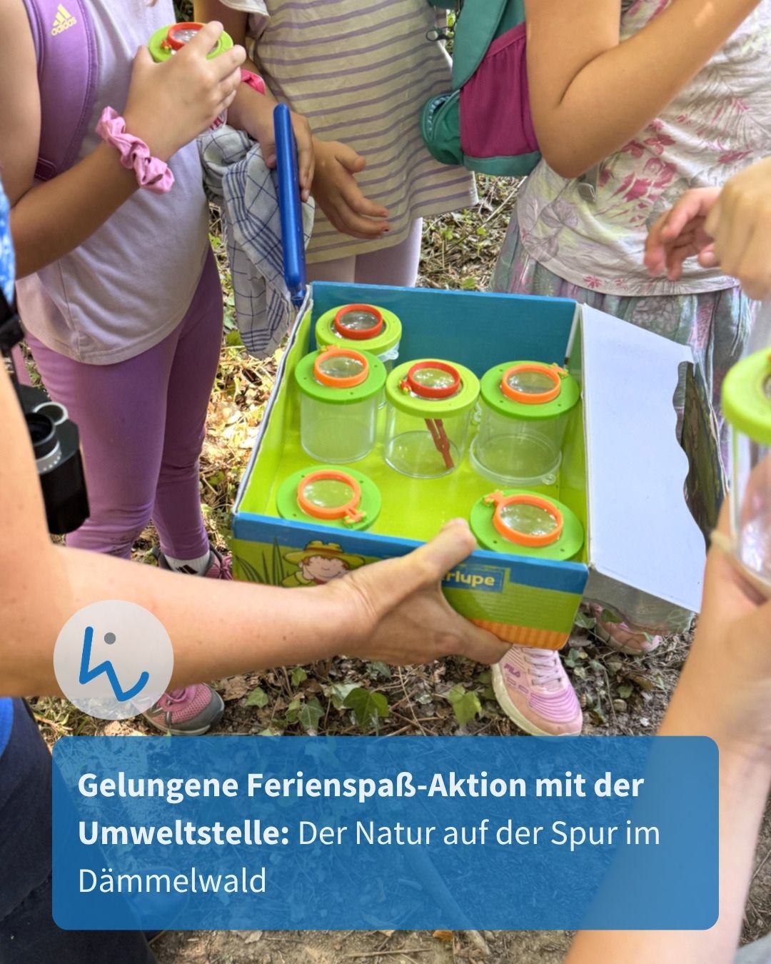 Eine Person hält eine Box mit kleinen, transparenten Behältern, die grüne Deckel und orangefarbene Lupen haben. Mehrere Kinder stehen im Wald drumherum und betrachten die Insekten darin. Ein blauer Textbalken unten lautet: "Gelungene Ferienspaß-Aktion mit der Umweltstelle: Der Natur auf der Spur im Dämmelwald". (KI-Alternativtext)