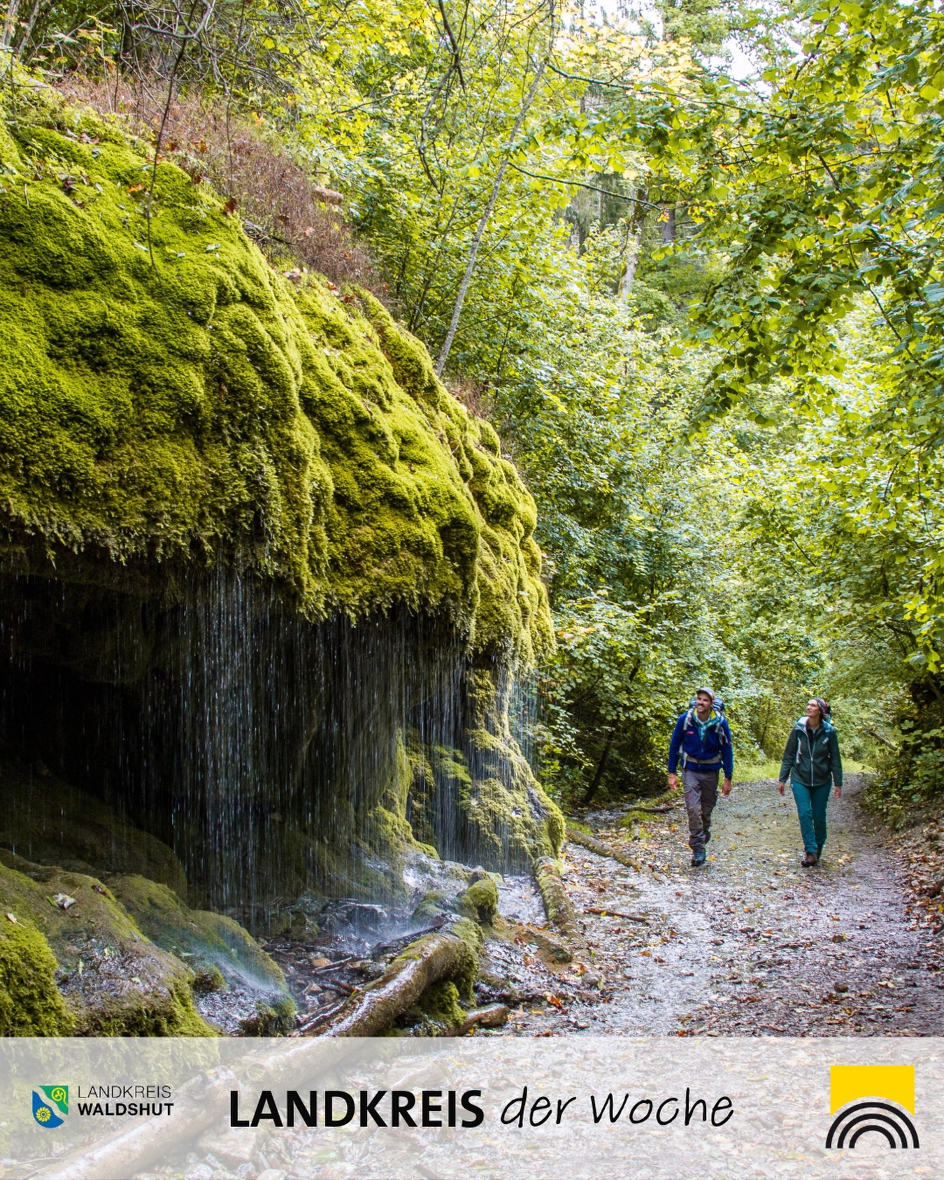 Dieser Alternativtext wurde KI-generiert: Eine Waldlandschaft mit einem kleinen Wasserfall und einem Pfad im Vordergrund. Zwei Personen gehen auf dem Pfad in Richtung des Waldes.