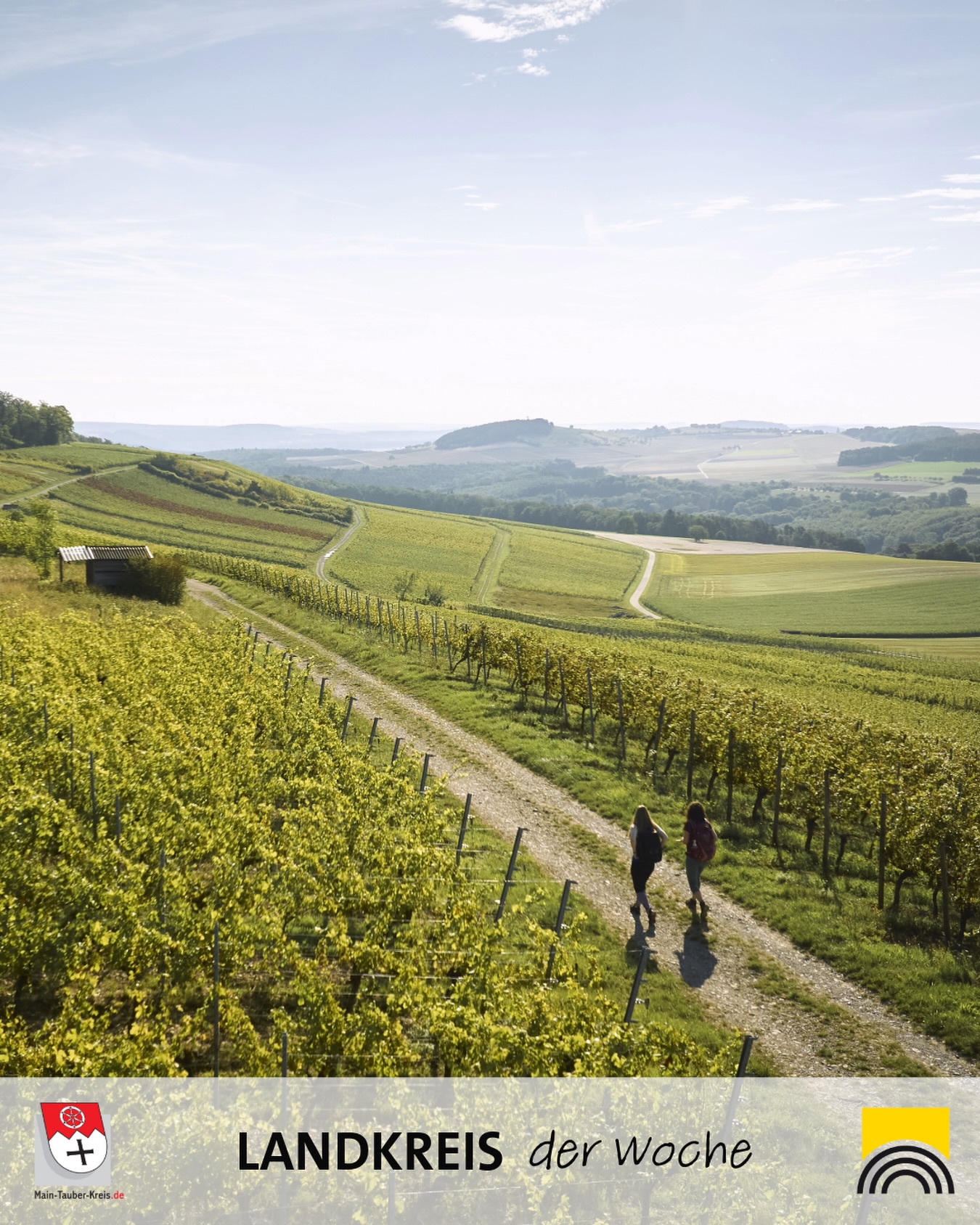 Dieser Alternativtext wurde KI-generiert: Eine weitläufige Landschaft mit Feldern und Weinbergen erstreckt sich bis zum Horizont. Ein Pfad führt durch die Landschaft, auf dem sich Personen befinden.