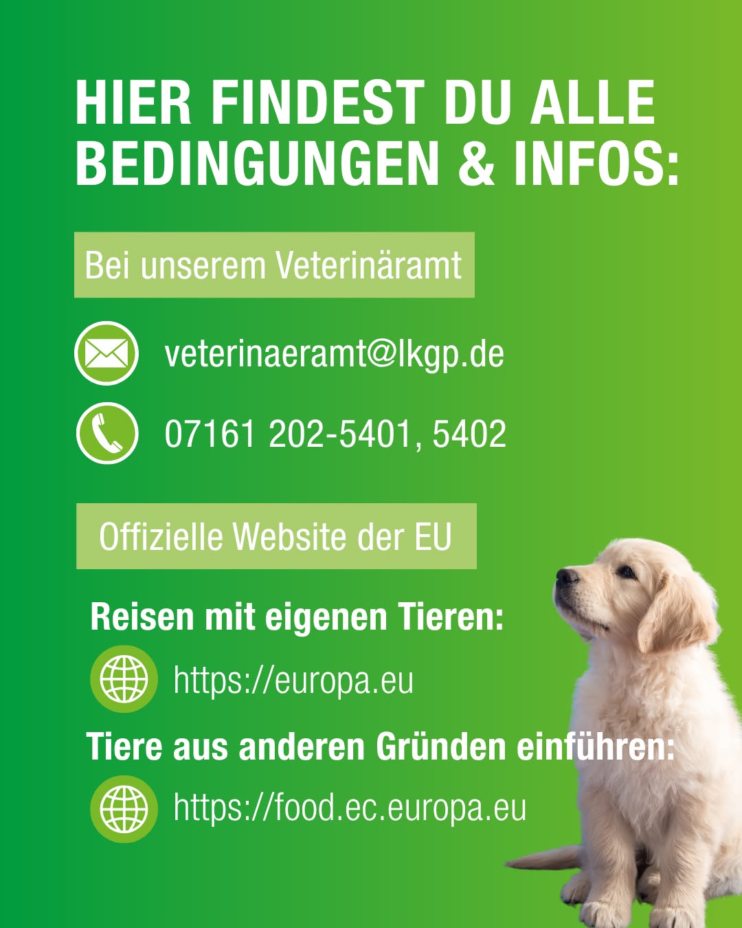 Ein hellgrüner Hintergrund mit Text und Symbolen zu Informationen über Tiergesundheit und Reisen mit Tieren. Ein Hund ist im unteren rechten Bereich zu sehen.