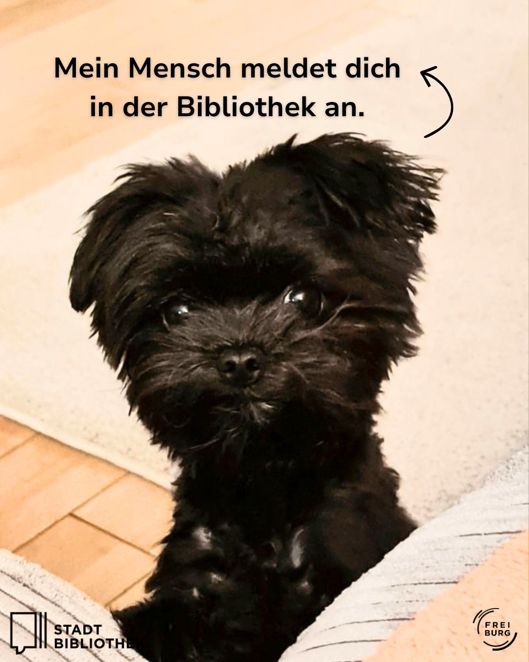 Dieser Alternativtext wurde KI-generiert: Ein kleines, dunkles, lockiges Tier liegt auf einer hellen Oberfläche. Im Hintergrund ist ein Teil einer Bibliothek erkennbar und Text ist im Bild zu sehen.
