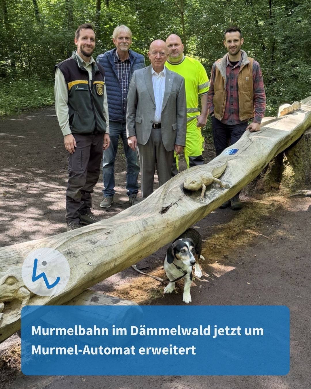 Fünf Personen stehen im Wald neben einer großen Holzskulptur mit einer Echsenfigur, darunter ein Hund an der Leine. Ein blauer Textbalken unten besagt: „Murmelnbahn im Dämmelwald jetzt um Murmel-Automat erweitert“. (KI-Alternativtext)