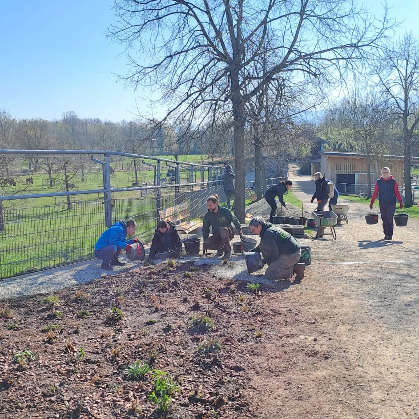 Dieser Alternativtext wurde KI-generiert: Eine Gruppe von Menschen arbeitet im Freien an einem Gartenbereich. Im Hintergrund ist ein Gehege mit Tieren zu sehen.