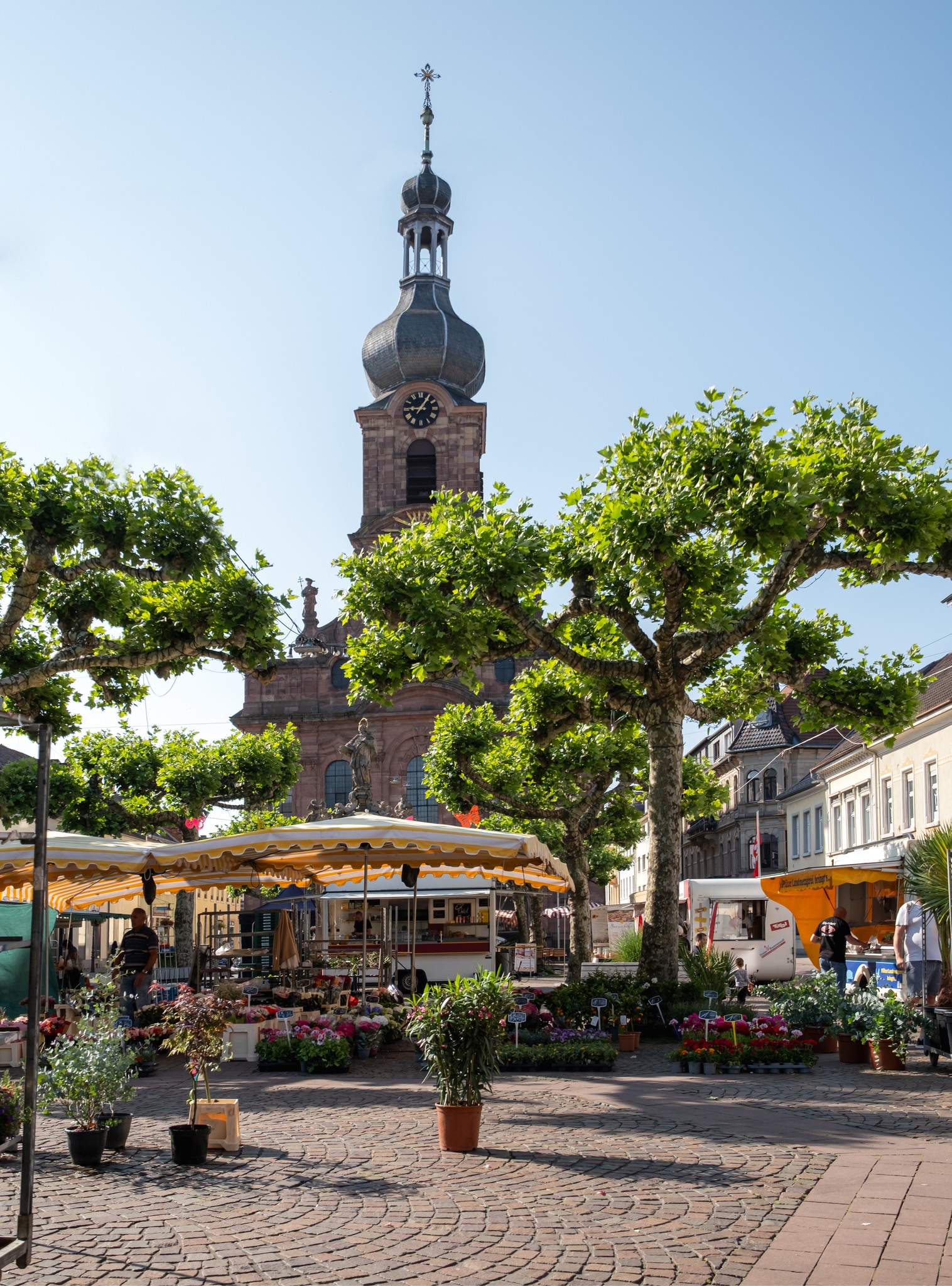 Auf einem gepflasterten Platz stehen Marktstände mit gelb-weißen Markisen, an denen Personen Blumen und Pflanzen verkaufen. Große, geschnittene Bäume rahmen die Szene ein, während im Hintergrund ein hoher Kirchturm mit Zwiebelhaube und Uhr gegen einen blauen Himmel ragt. (KI-Alternativtext)