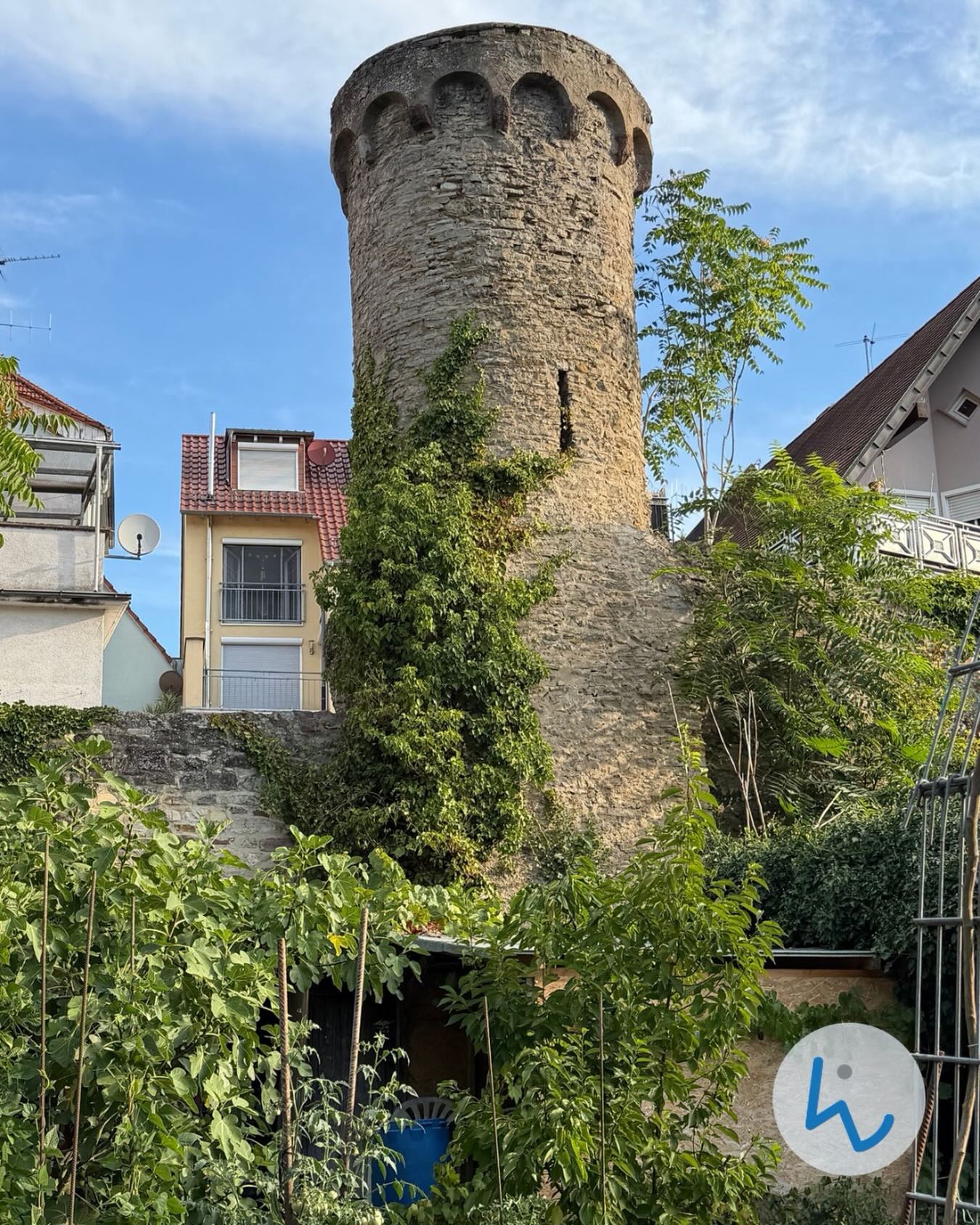Ein hoher, runder Steinturm mit Zinnenkrone steht vor einem blauen Himmel und ist teilweise von grünen Kletterpflanzen überwuchert. Im Hintergrund sind moderne Wohnhäuser zu sehen, während im Vordergrund ein Garten mit üppiger Vegetation und Rankhilfen liegt. Rechts unten befindet sich ein weißes Logo mit einem blauen Symbol. (KI-Alternativtext)