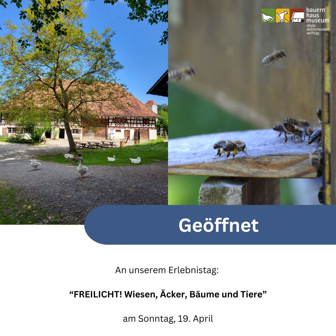 Dieser Alternativtext wurde KI-generiert: Eine Collage zeigt eine Landschaft mit Bäumen, Gebäuden und Tieren. Der Text kündigt einen Erlebnistag mit dem Thema Natur an.