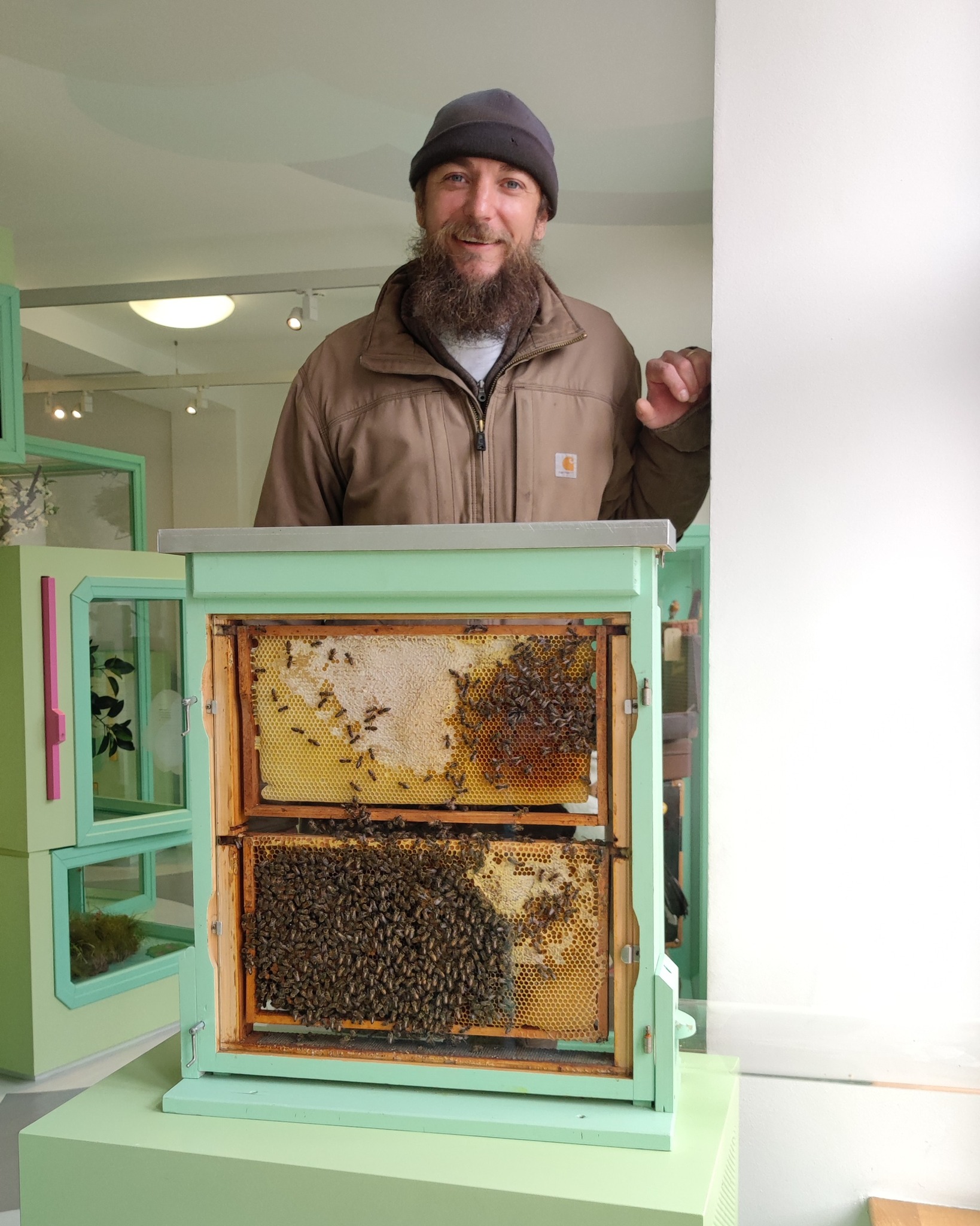 Dieser Alternativtext wurde KI-generiert: Eine Person steht neben einem Bienenstock mit sichtbaren Waben und Bienen. Im Hintergrund befindet sich ein heller Raum mit weiteren grünen Schränken.