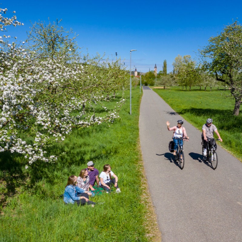Eine Gruppe von Menschen sitzt im Gras unter blühenden Bäumen neben einem Radweg. Zwei Radfahrer fahren auf dem Weg.