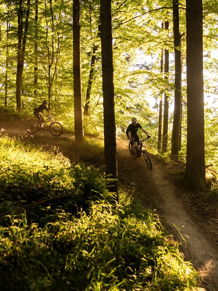 Dieser Alternativtext wurde KI-generiert: Zwei Personen fahren auf einem Pfad durch einen hellen Wald mit hohen Bäumen. Sonnenlicht scheint durch das Blätterdach und erzeugt ein warmes Licht.