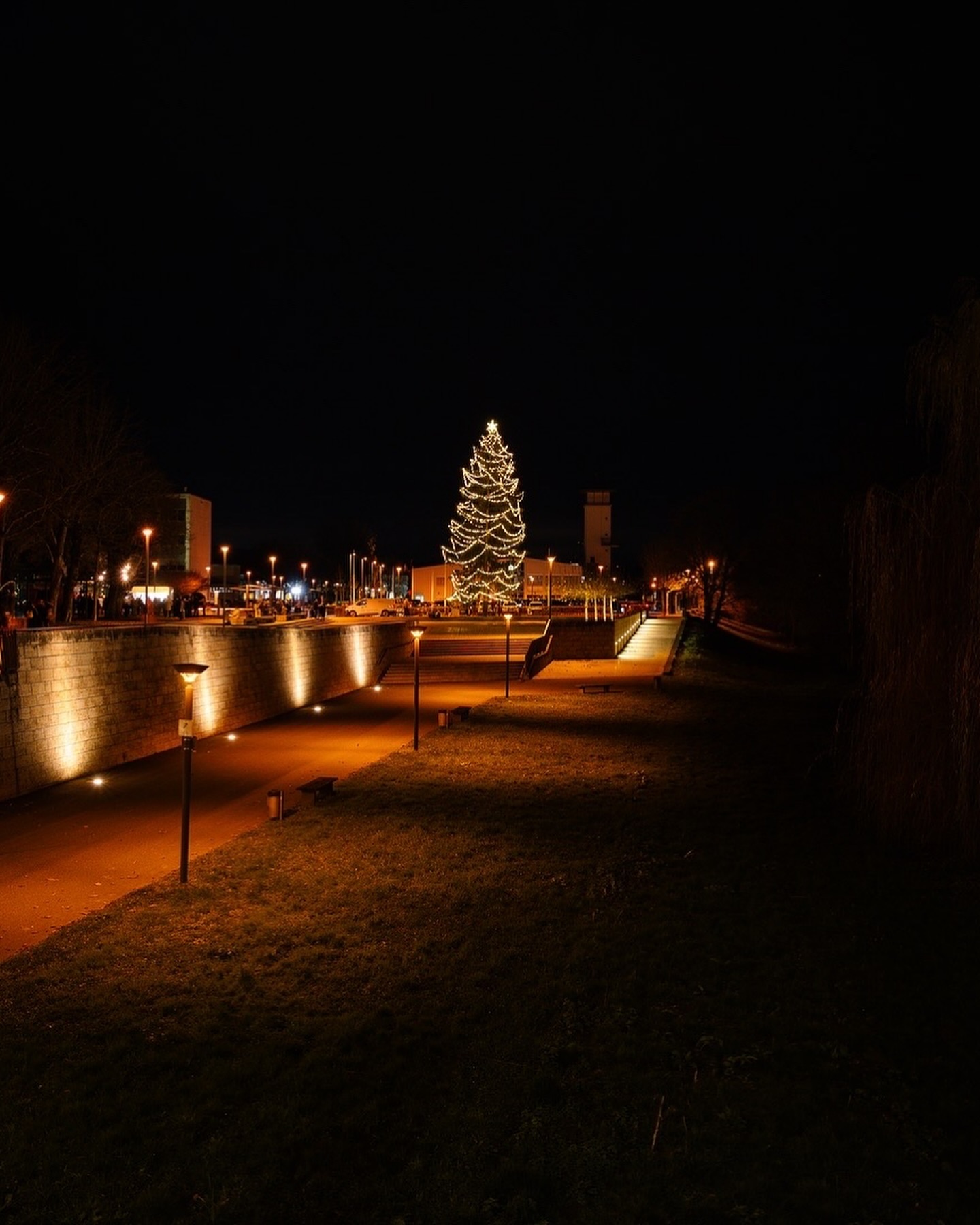 Ein beleuchteter Weihnachtsbaum steht in der Nacht auf einem Platz. Ein Weg führt zu dem Baum, der von Laternen gesäumt ist.