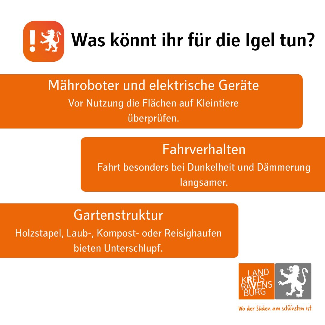 Dieser Alternativtext wurde KI-generiert: Ein farbiges Bild mit Text in verschiedenen Rechtecken, das Informationen zur Vermeidung von Verletzungen von Igeln enthält. Es werden Themen wie Rasenmäher, Gartenstruktur und Fahrverhalten angesprochen.