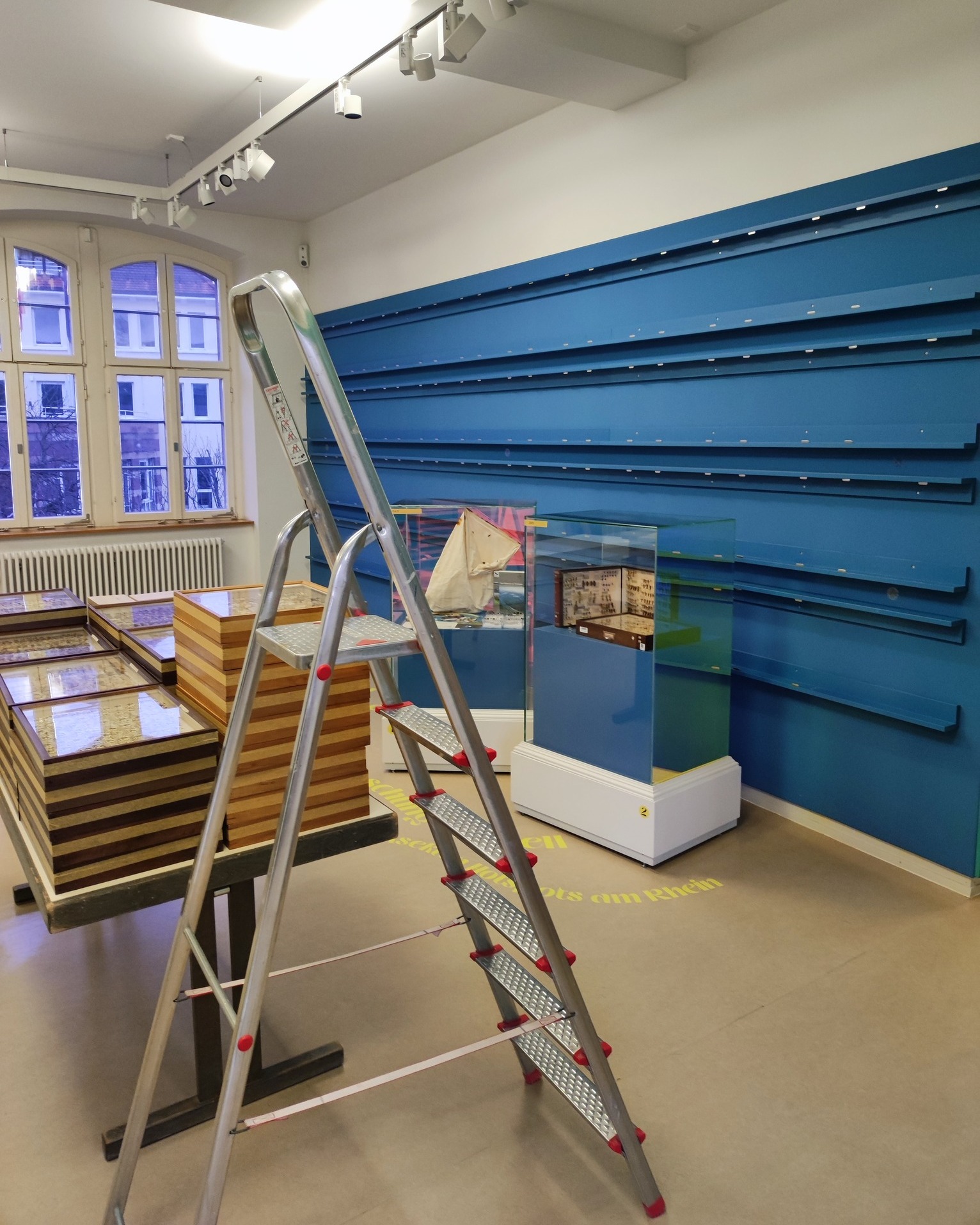 Dieser Alternativtext wurde KI-generiert: Ein Innenraum mit blauen Regalen an der Wand und einer Rolltreppe. Im Raum befinden sich Vitrinen mit Ausstellungsstücken.