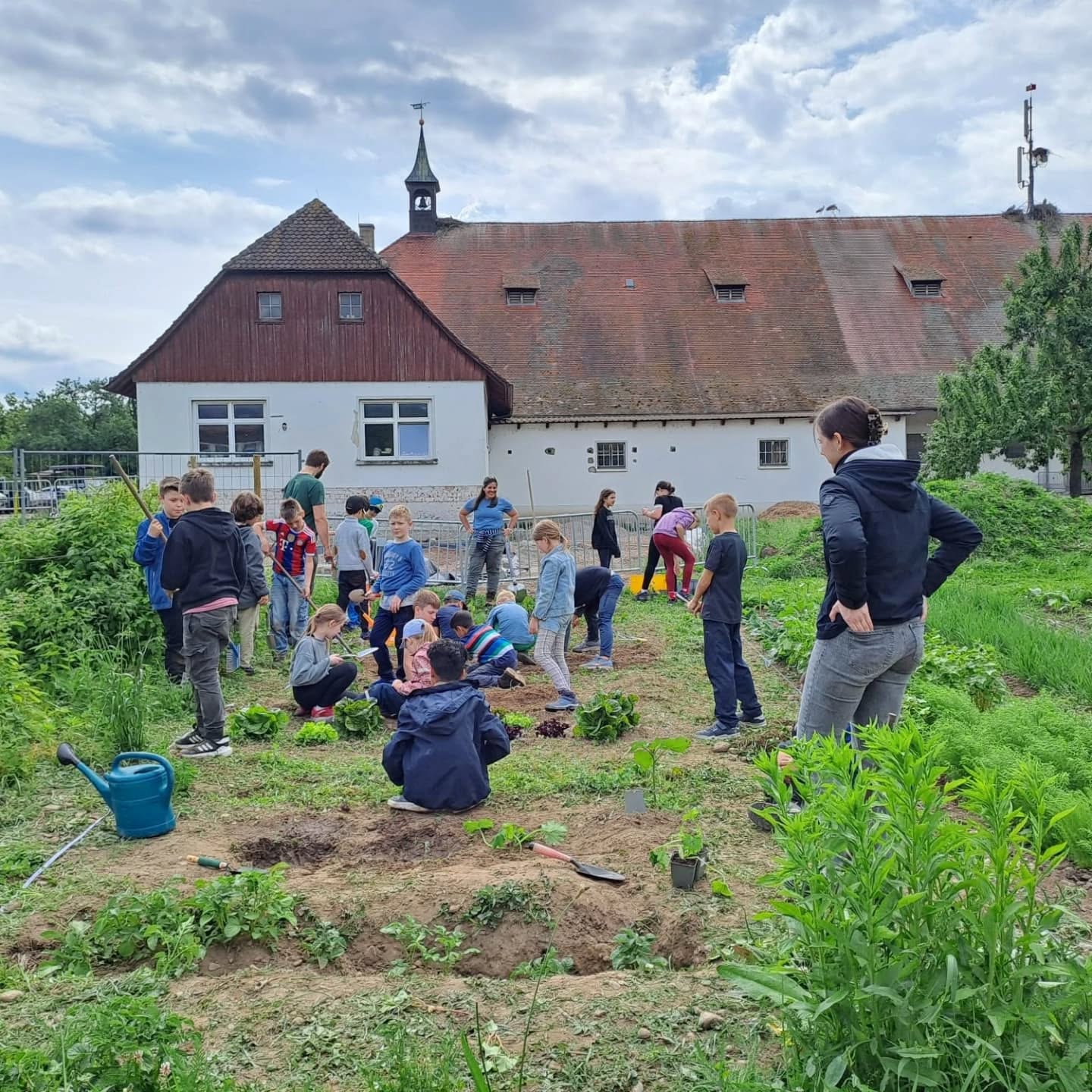 Eine Gruppe von Kindern arbeitet in einem Garten vor einem Gebäude.  Sie scheinen Pflanzen zu setzen oder zu pflegen.