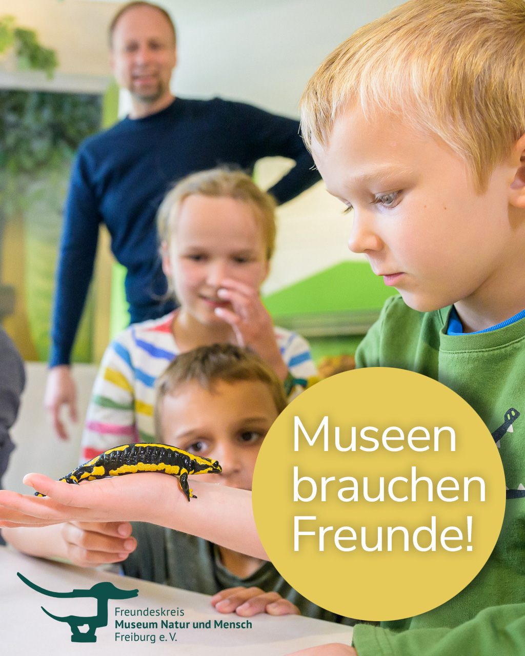 Eine Person hält einen Feuersalamander auf der Hand, während weitere Personen im Hintergrund zuschauen. Ein gelber Kreis enthält den Text „Museen brauchen Freunde!“. Unten links befindet sich das Logo des Freundeskreis Museum Natur und Mensch Freiburg e.V. (KI-Alternativtext)