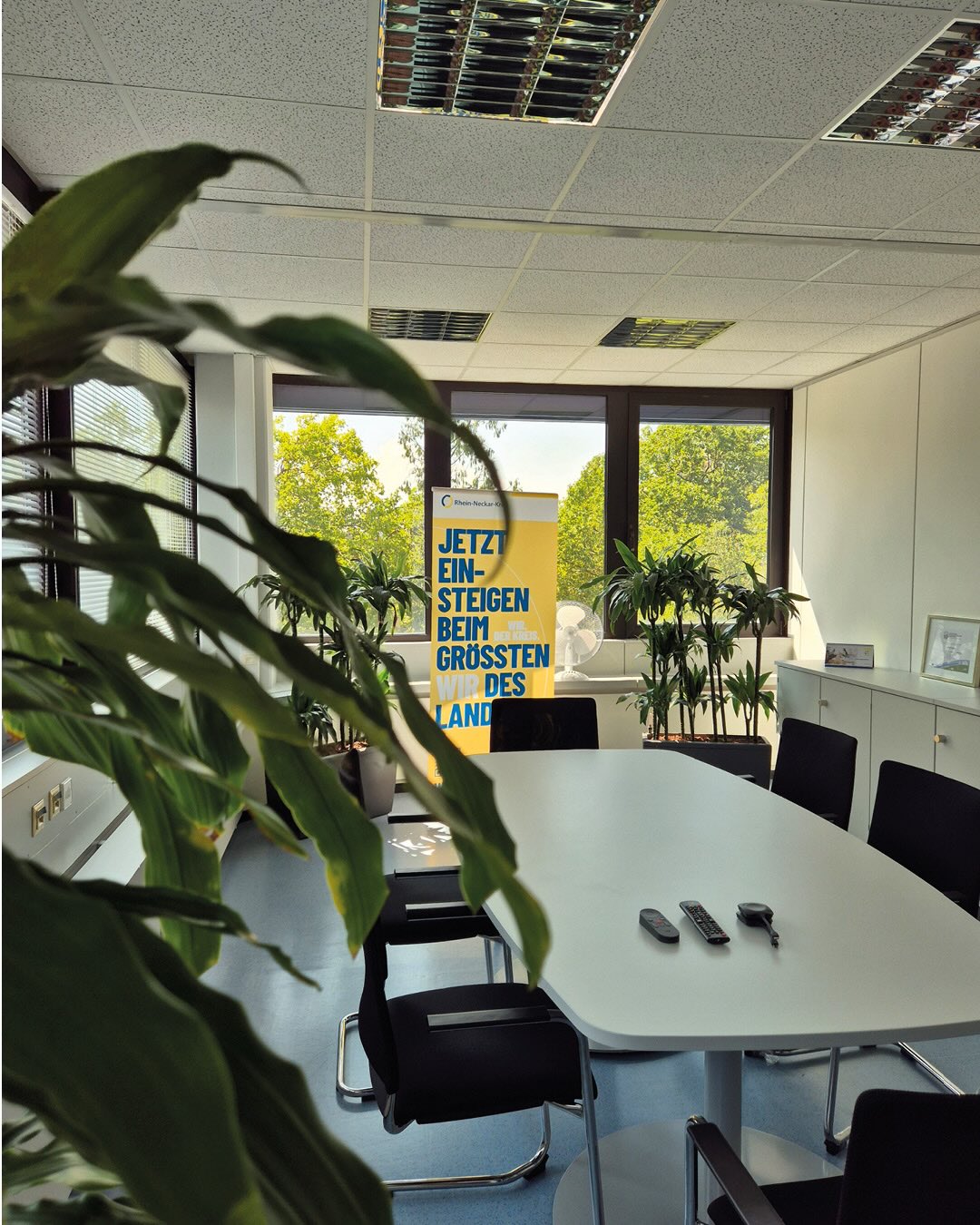 Ein heller Besprechungsraum mit weißem Tisch und schwarzen Stühlen, im Hintergrund große Fenster mit Blick auf grüne Bäume. Im Vordergrund sind unscharfe grüne Pflanzenblätter zu sehen. Am Fenster steht ein gelber Roll-up der Rhein-Neckar-Klinik mit dem Text „JETZT EINSTEIGEN BEIM GRÖSSTEN WIR DES LAND“. Auf dem Tisch liegen drei Fernbedienungen. (KI-Alternativtext)