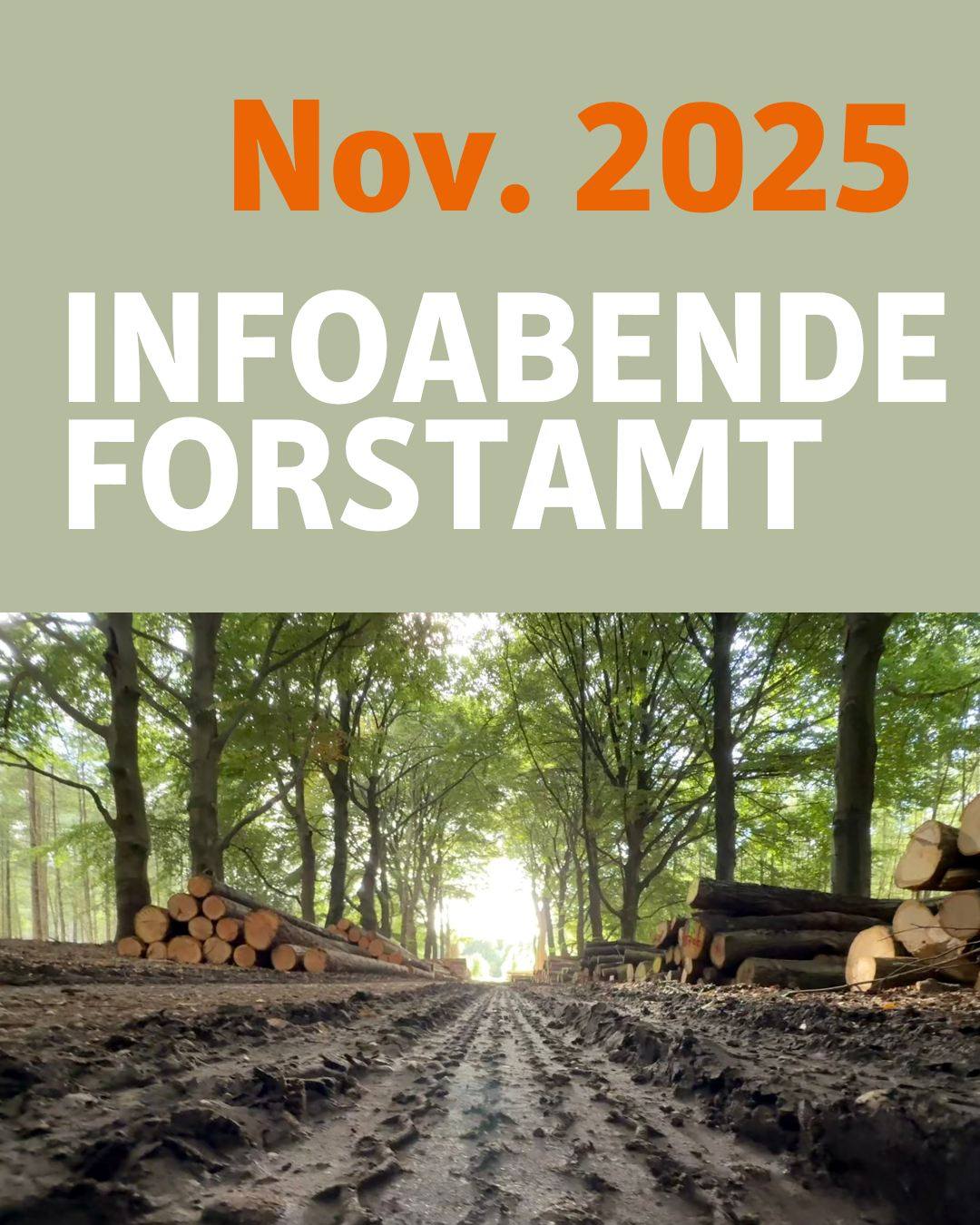 Bildtext: November 2025.
Infoabende Forstamt