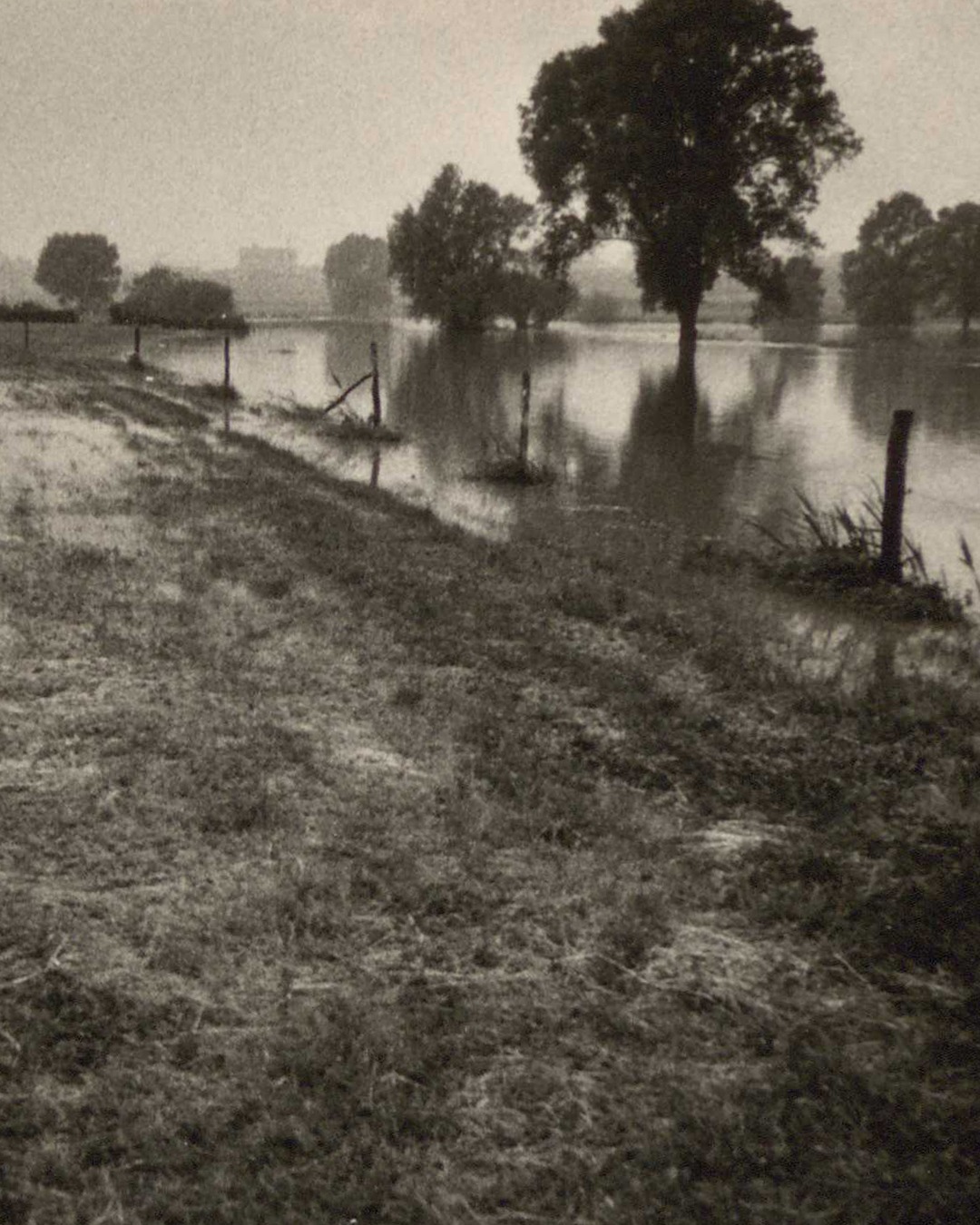 Schwarz-Weiß-Foto einer überfluteten Landschaft, bei der grasige Flächen in stehendes Wasser übergehen. Mehrere Bäume stehen im Wasser und Zaunpfähle sind entlang der Uferlinie sichtbar. Der Hintergrund ist neblig und verschwommen. (KI-Alternativtext)