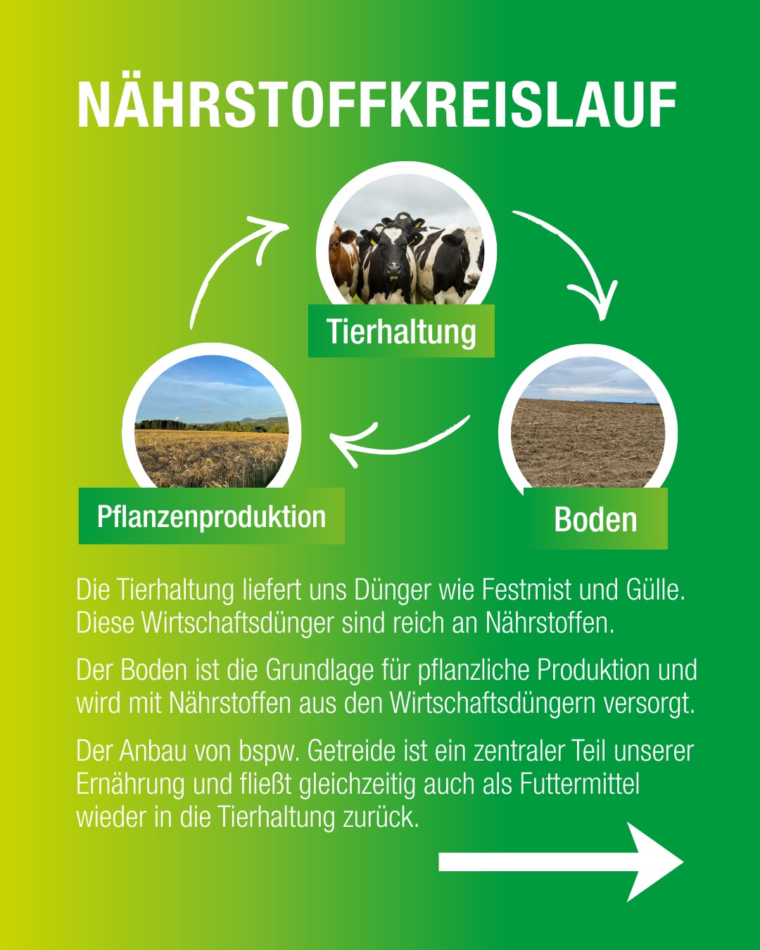 Dieser Alternativtext wurde KI-generiert: Ein farbiges Diagramm zeigt einen Kreislauf zwischen Tierhaltung, Pflanzenproduktion und Boden, mit Pfeilen, die die Verbindungen darstellen. Textfelder erklären den Nährstoffkreislauf in der Landwirtschaft.