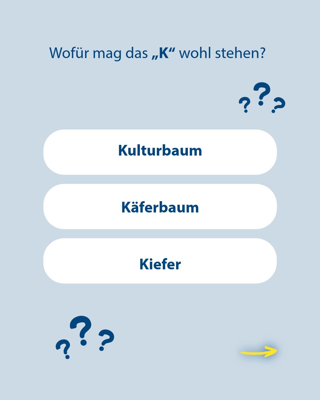 Die Frage „Wofür mag das „K“ wohl stehen?“ steht oben. Darunter folgen drei weiße Auswahlbuttons mit den Antworten „Kulturbaum“, „Käferbaum“ und „Kiefer“. Dekorative Fragezeichen und ein gelber Pfeil sind im Hintergrund platziert. (KI-Alternativtext)