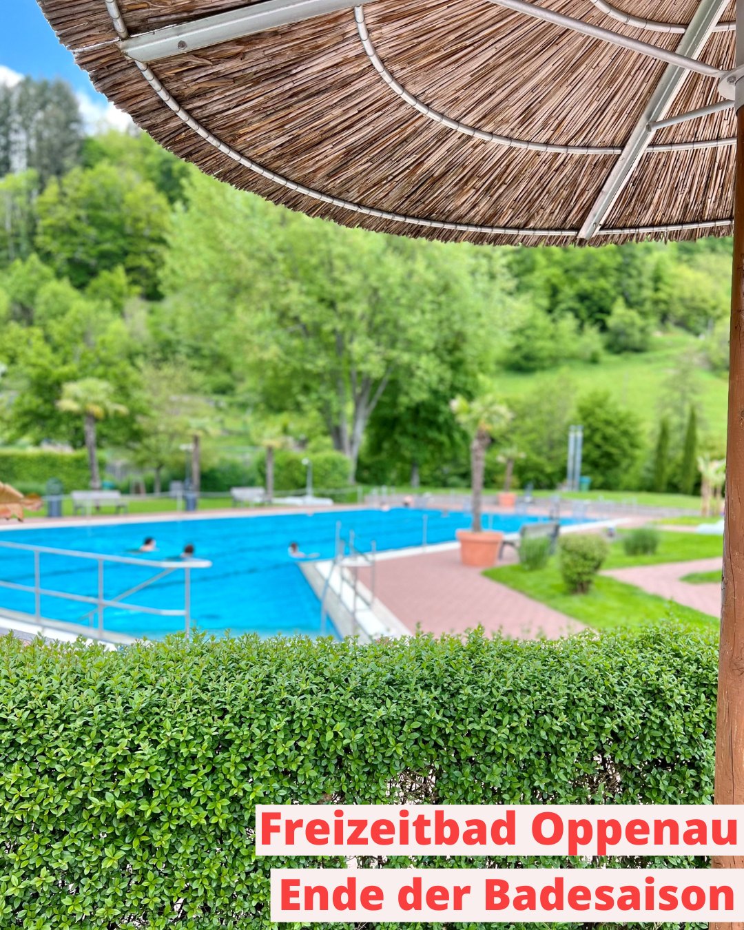 Dieser Alternativtext wurde KI-generiert: Ein Schwimmbad mit blauem Wasser ist von üppigem Grün und einem strohgedeckten Dach umgeben. Im Hintergrund sind Bäume und ein hügeliger Landschaftsraum zu sehen.