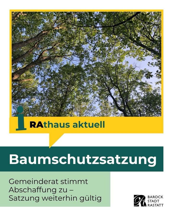 Dieser Alternativtext wurde KI-generiert: Ein Plakat mit grünen und blauen Farbtönen zeigt Baumkronen gegen einen hellen Himmel. Unterhalb befindet sich Text zum Thema Baumschutzsatzung und einer Gemeinderatsentscheidung.