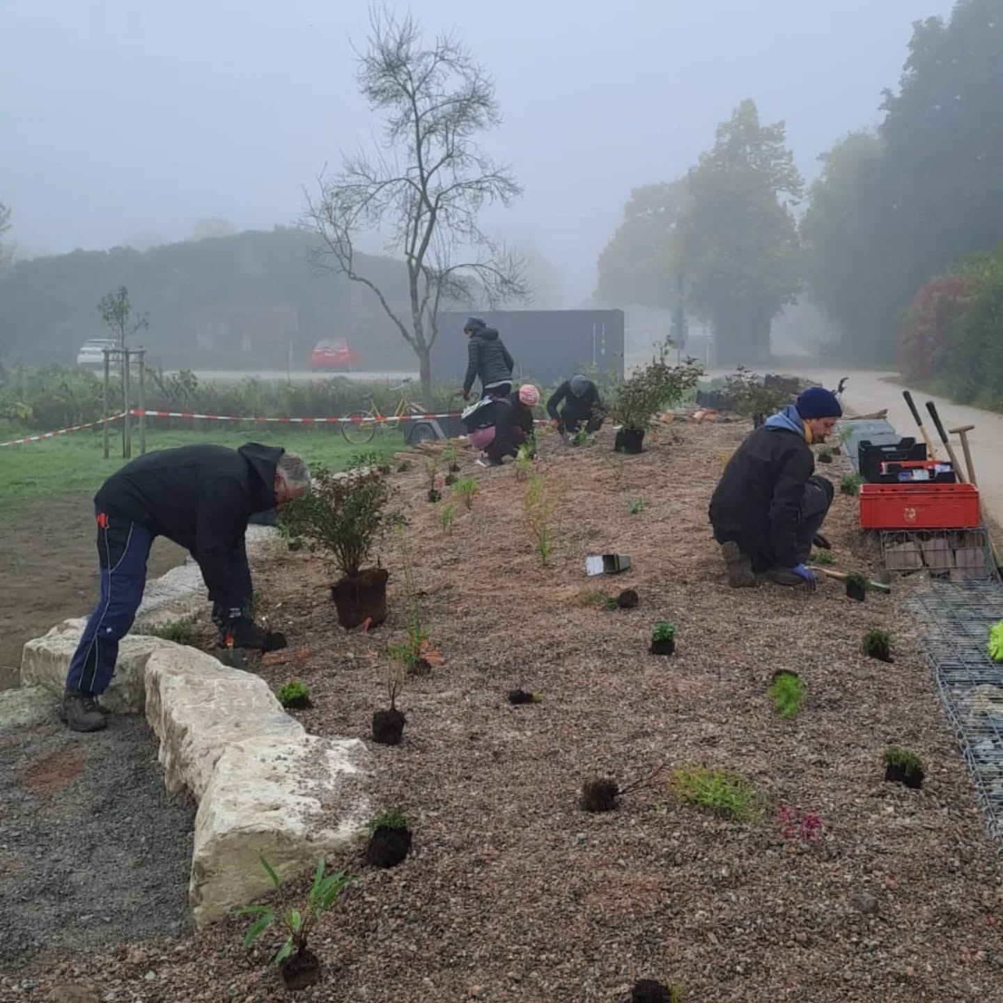Dieser Alternativtext wurde KI-generiert: Menschen arbeiten im Freien an einem Garten. Es ist ein nebliger Tag, und Pflanzen werden in ein Blumenbeet gesetzt.