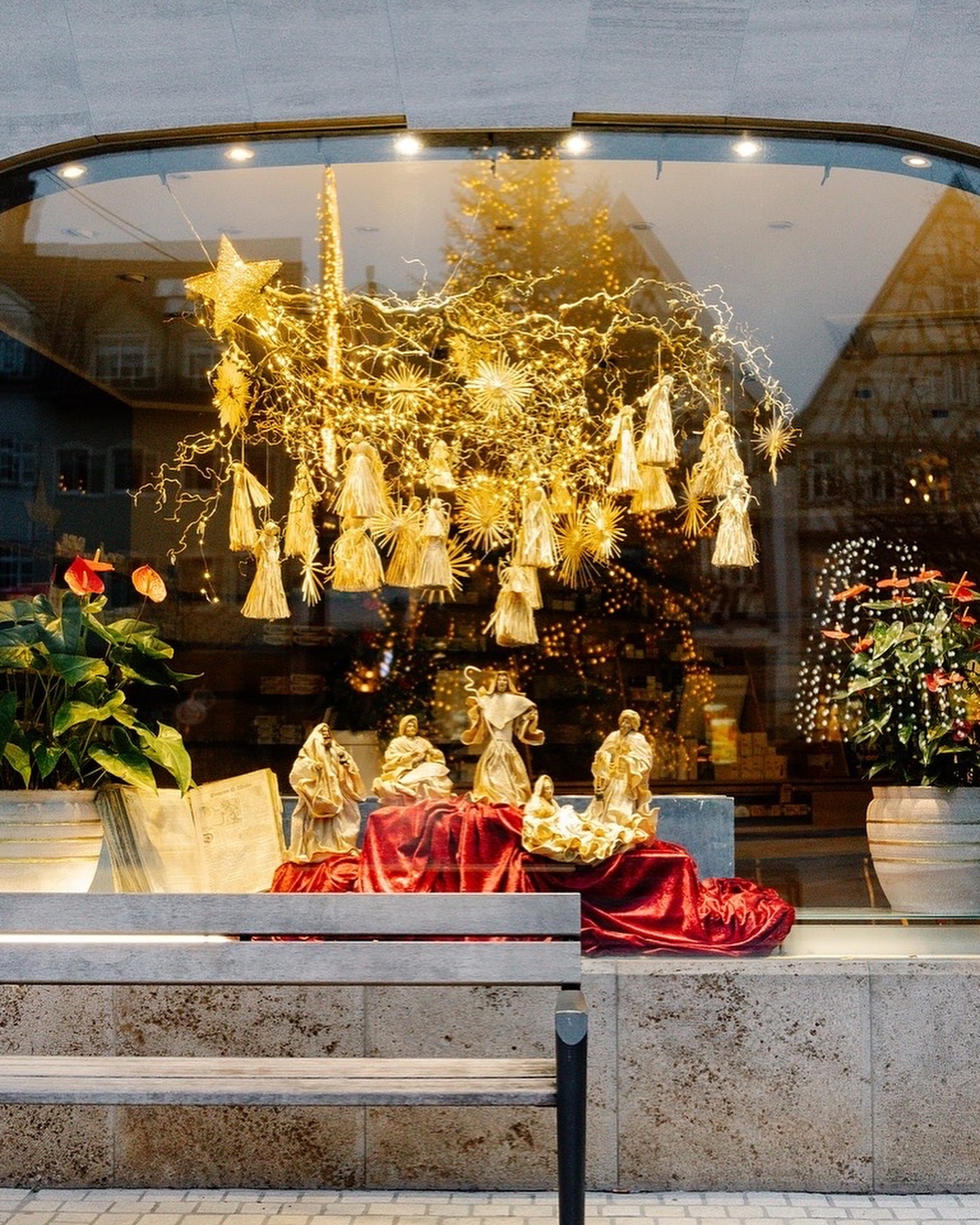 Ein Schaufenster mit Weihnachtsdekoration. Goldene Sterne und Figuren sind auf einem roten Tuch zu sehen.