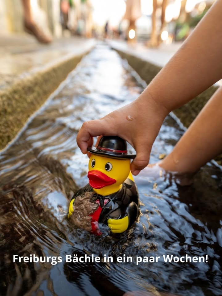 Dieser Alternativtext wurde KI-generiert: Ein Gummientchen mit Hut treibt in einem kleinen Wasserlauf. Im Hintergrund ist verschwommenes Grün und eine Hand zu sehen.