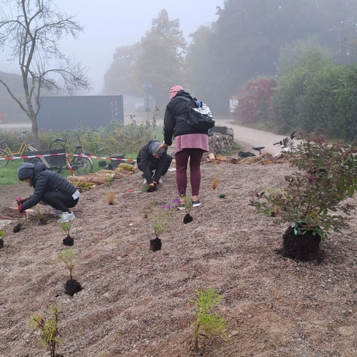 Dieser Alternativtext wurde KI-generiert: Mehrere Personen arbeiten im Freien an einem Garten. Sie sind dabei, Pflanzen in die Erde zu setzen, während im Hintergrund ein bewölkter Tag herrscht.