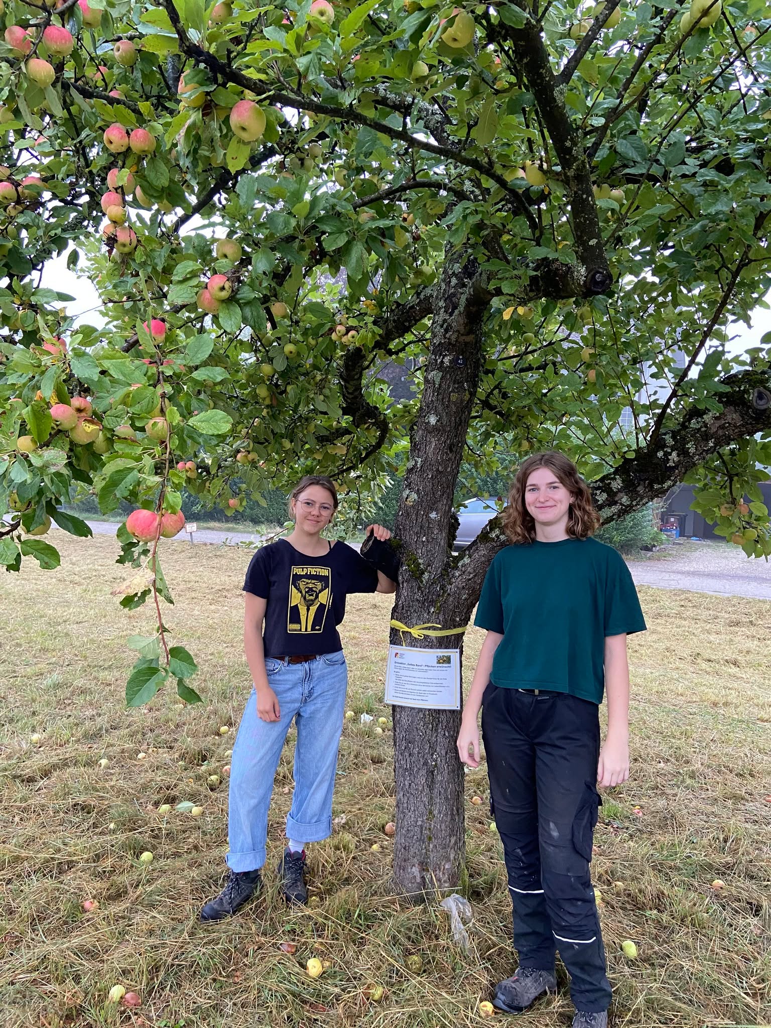 Zwei Personen stehen vor einem Apfelbaum, der mit vielen roten und grünen Äpfeln beladen ist. Die Person links trägt ein dunkles T-Shirt mit gelbem Aufdruck und helle Jeans, die rechte Person ein grünes T-Shirt und dunkle Hose. Am Baumstamm ist ein weißes Schild mit Text und einem gelben Band befestigt. (KI-Alternativtext)