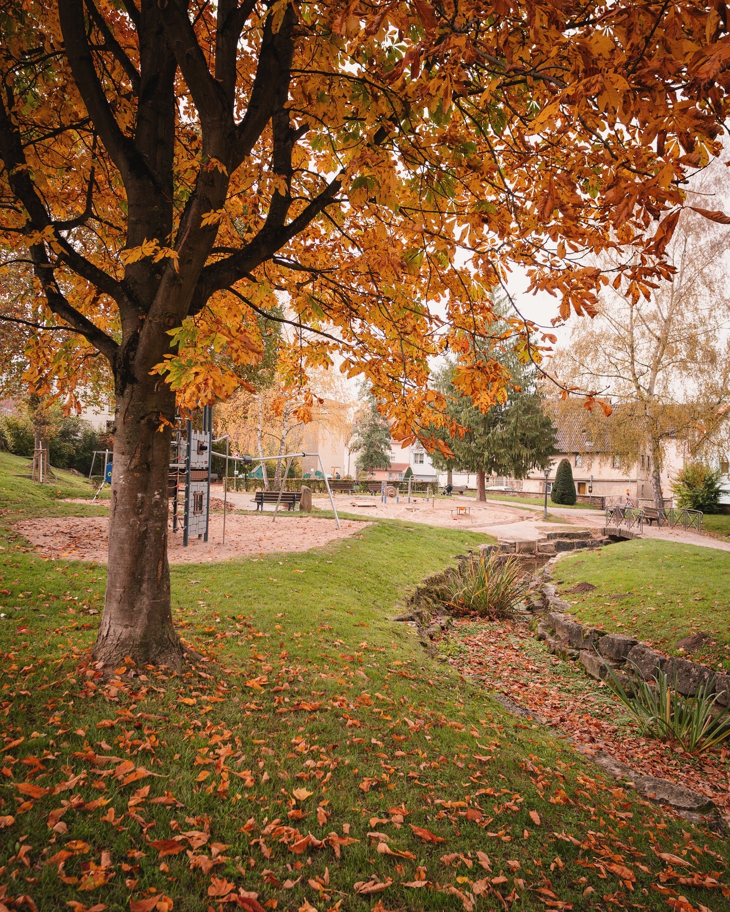 Ein Spielplatz im Herbst mit vielen goldenen Blättern auf dem Boden und einem Baum mit goldenem Laub im Vordergrund.