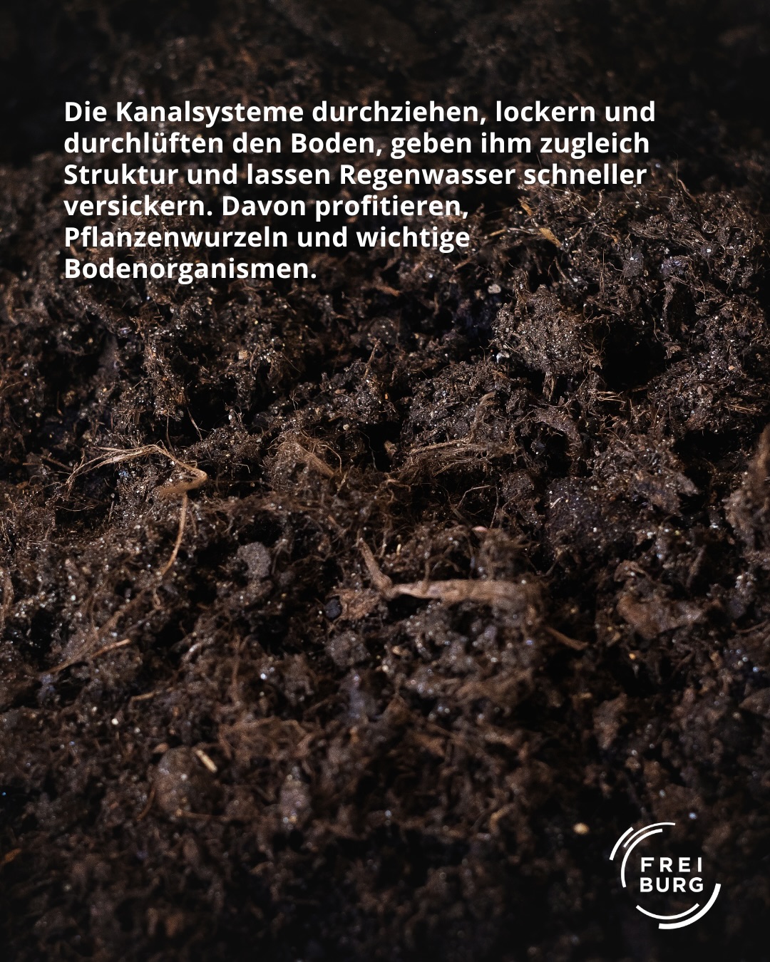 Dieser Alternativtext wurde KI-generiert: Nahaufnahme von dunklem Boden mit einer unregelmäßigen, porösen Struktur. Das Bild ist in Schwarzweiß gehalten und zeigt einen kleinen Logo-Button in der unteren rechten Ecke.