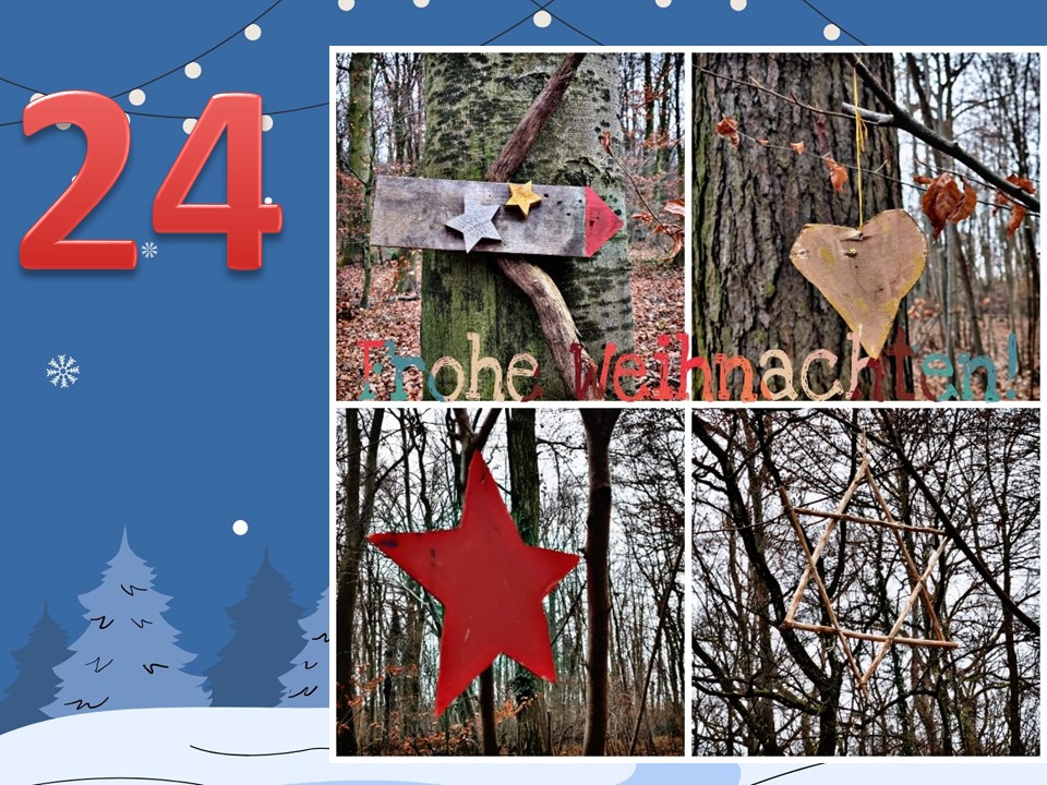 Dieser Alternativtext wurde KI-generiert: Eine Collage zeigt verschiedene weihnachtliche Elemente. Dazu gehören eine rote Zahl, Sternen-Dekorationen und ein verschneiter Baum.