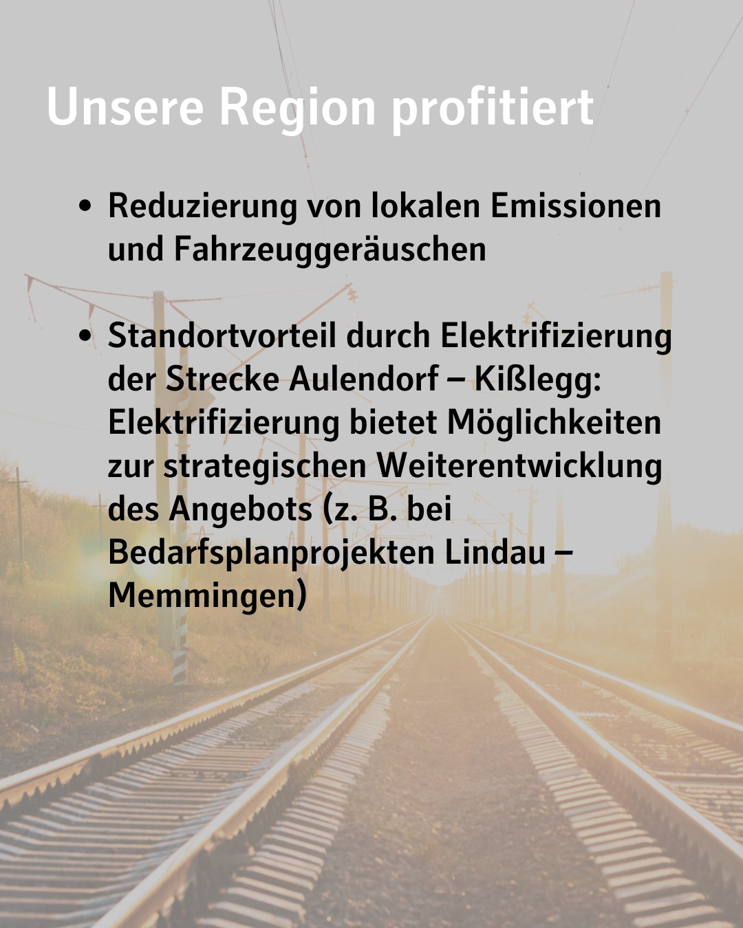 Dieser Alternativtext wurde KI-generiert: Schwarz-Weiß-Foto einer Eisenbahnstrecke mit Schienen und Kies. Im Hintergrund sind Bäume und Strommasten zu sehen.