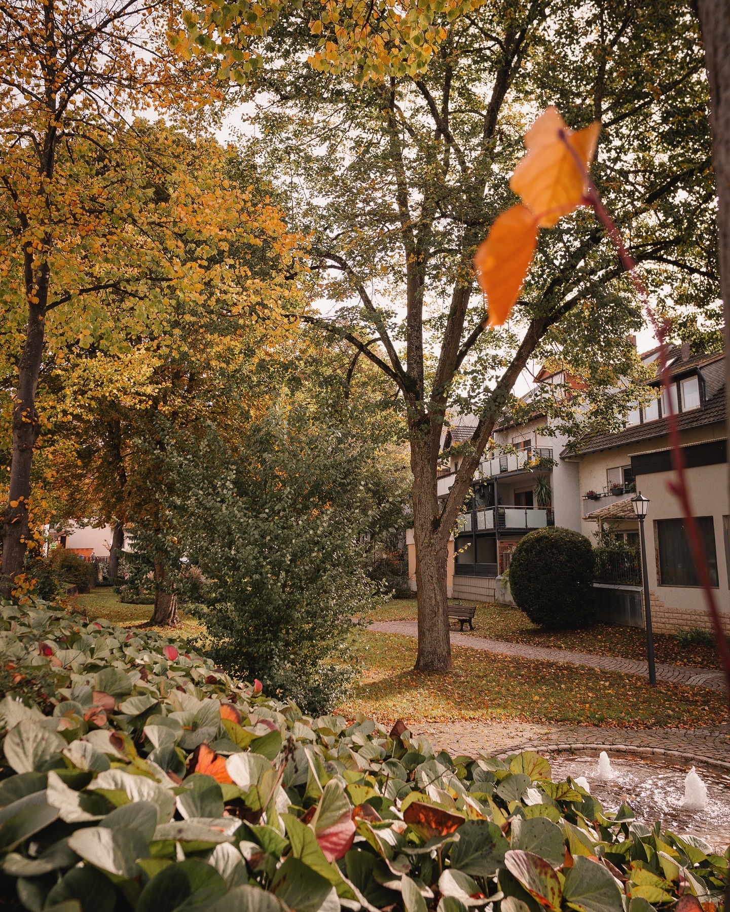 Ein kleiner Park im Herbst mit Bäumen in goldenen Farben und einem Brunnen. Ein Gebäude ist im Hintergrund zu sehen.